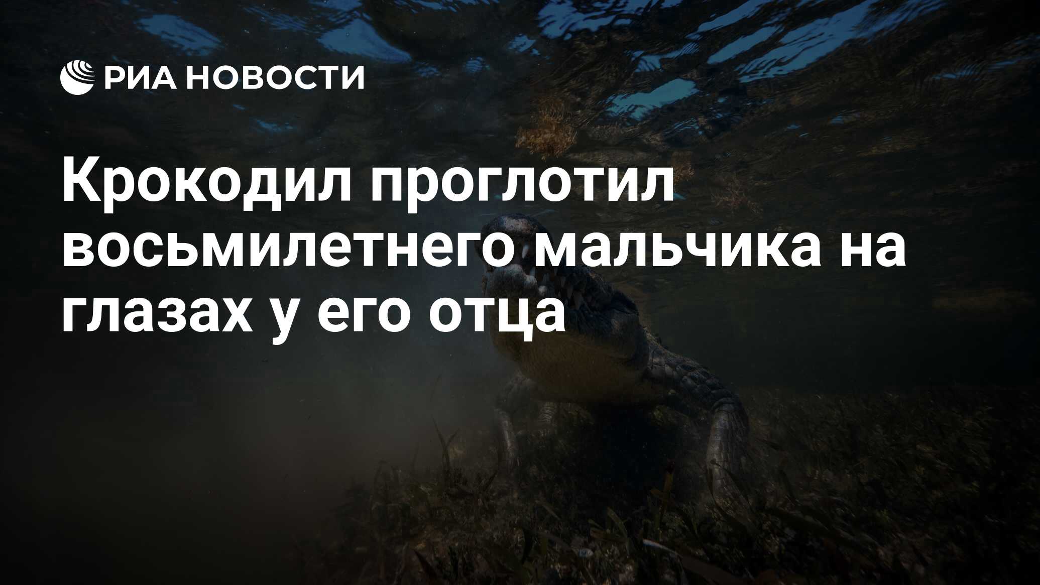 Крокодил проглотил восьмилетнего мальчика на глазах у его отца - РИА Новости, 06.03.2021