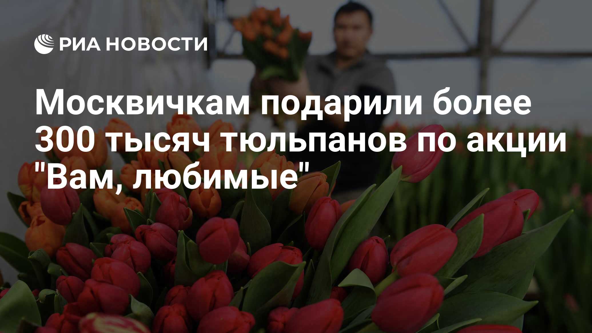 Сколько тюльпанов дарить маме. Сколько тюльпанов дарят на 8. На какие праздники можно дарить тюльпаны?.