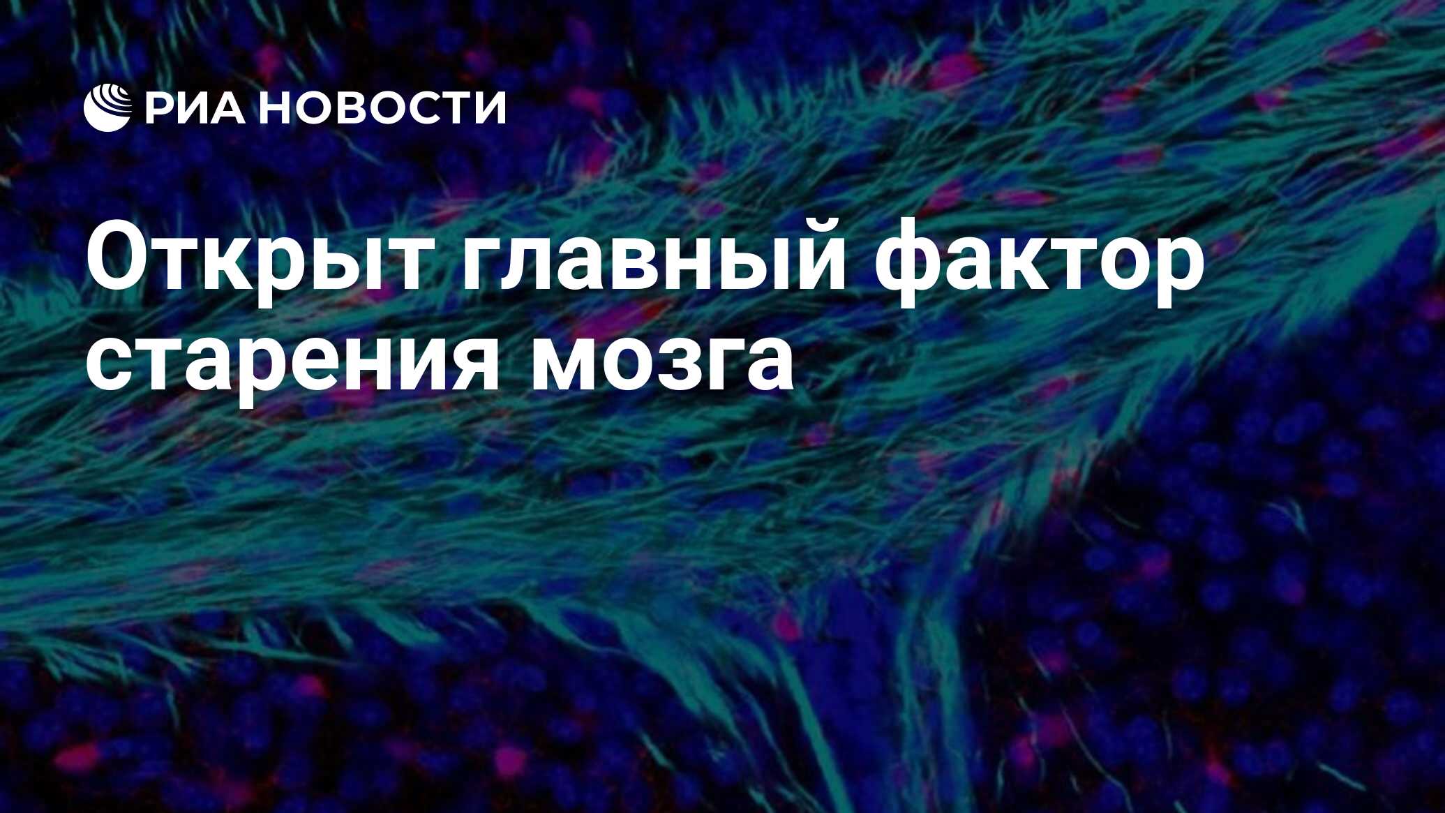 Фактор старения нейтрализатора веста