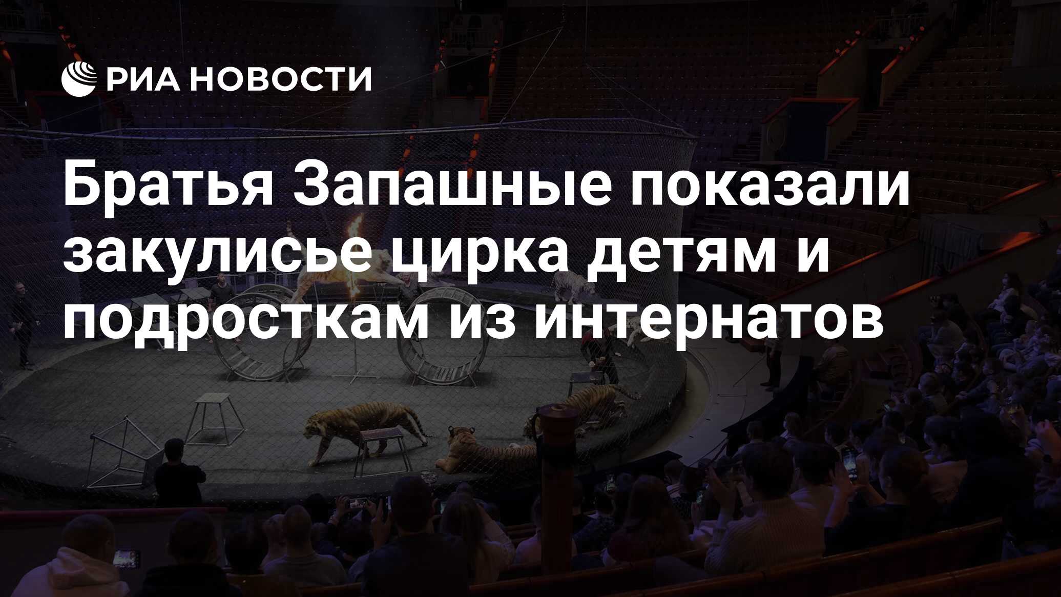 Братья Запашные показали закулисье цирка детям и подросткам из интернатов -  РИА Новости, 13.03.2021