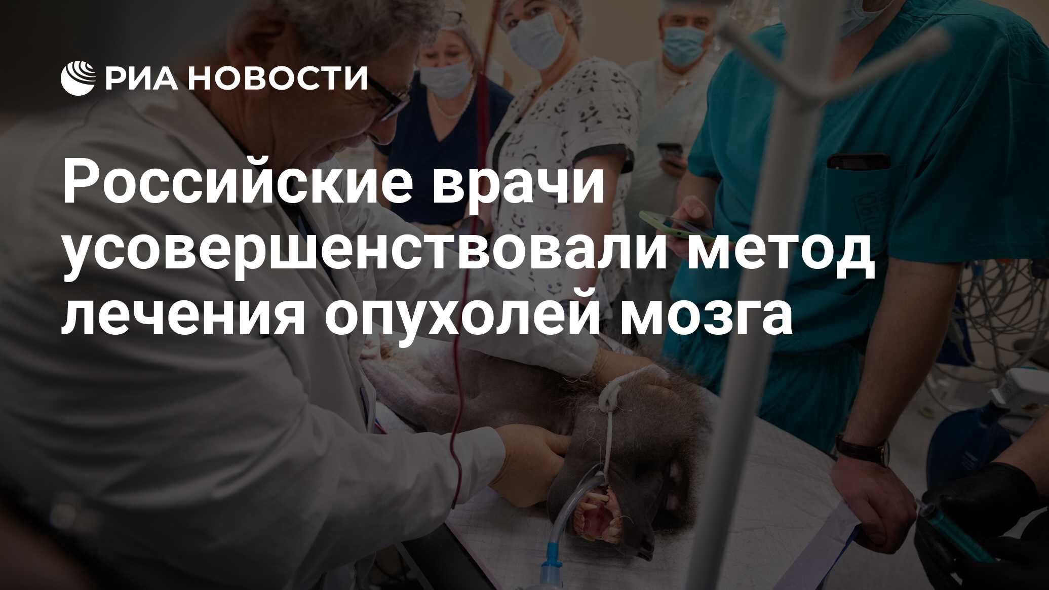 Российские врачи усовершенствовали метод лечения опухолей мозга - РИА  Новости, 23.03.2021