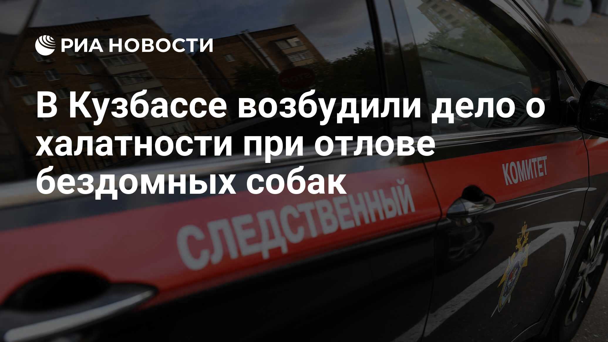 В Кузбассе возбудили дело о халатности при отлове бездомных собак - РИА  Новости, 31.03.2021