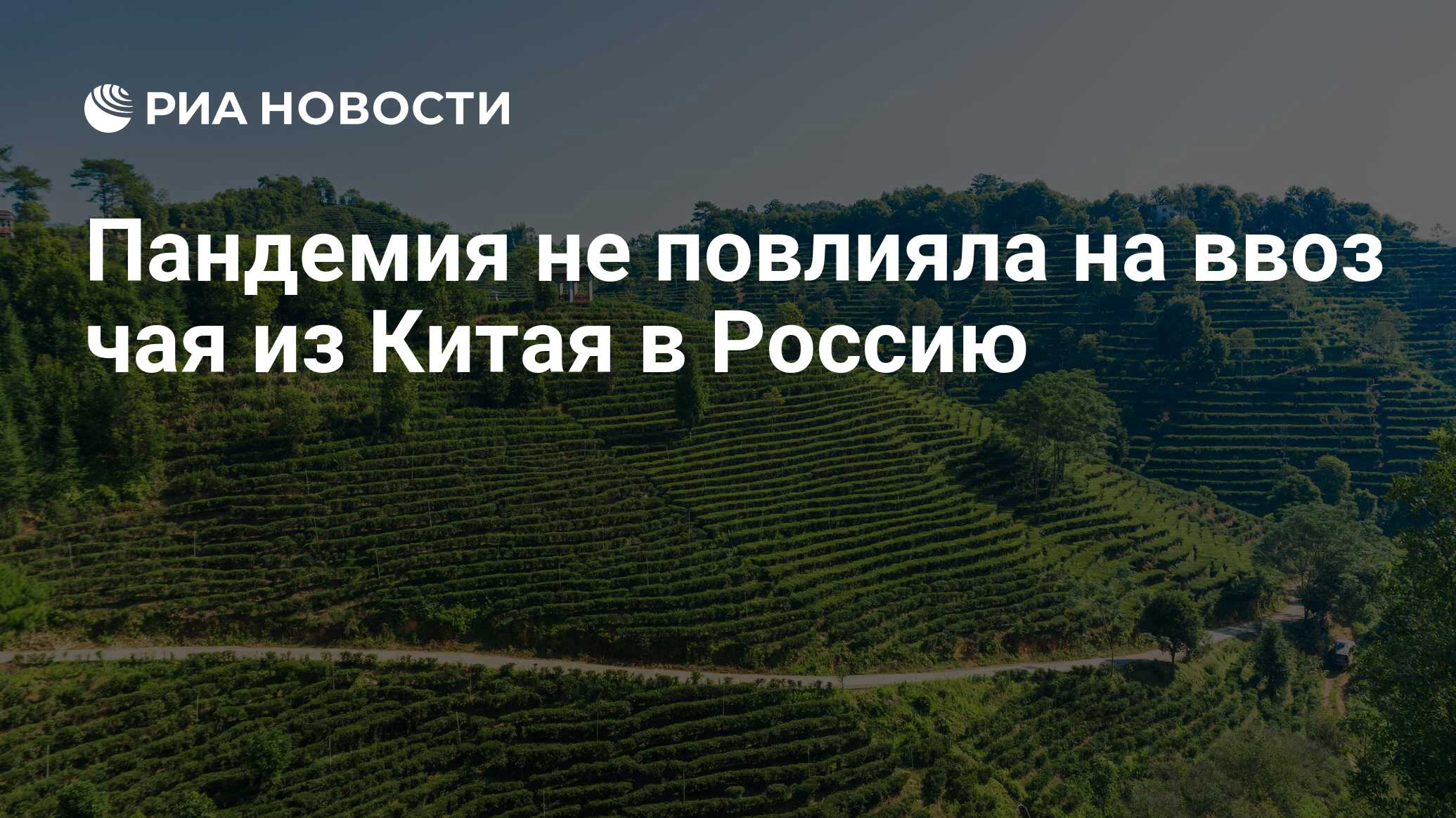 Ввоз чая. Импортеры чая. Чай статистика. Чай статистика. Китайские плантации чая.