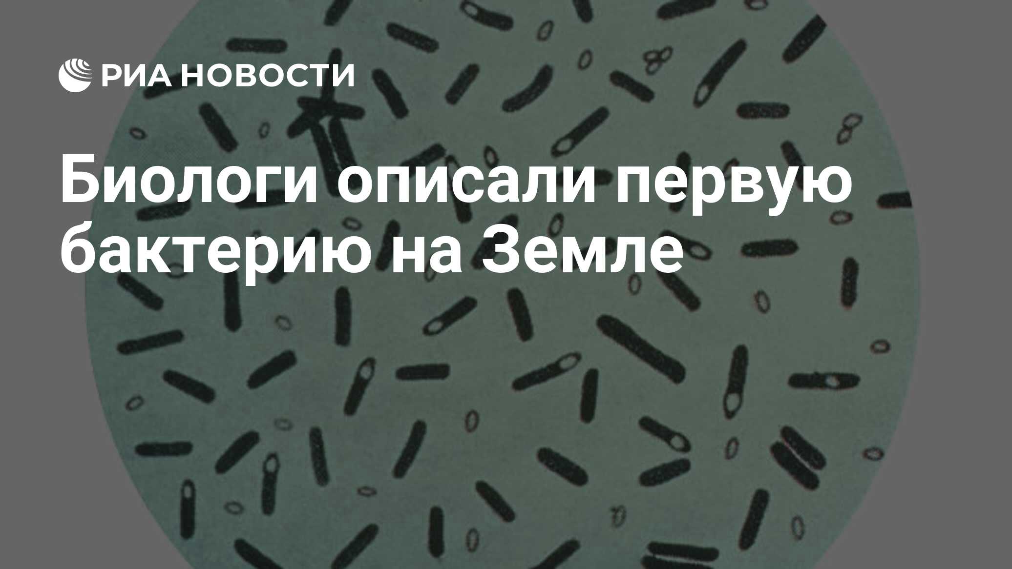 Биологи проводили исследование бактерий каждый час каждая