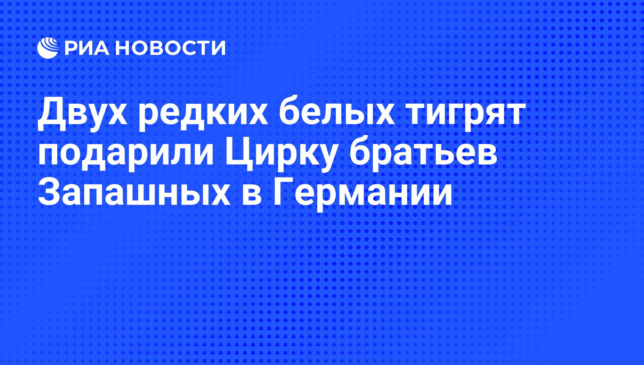 Двух редких белых тигрят подарили Цирку братьев Запашных в Германии - РИА  Новости, 26.02.2009