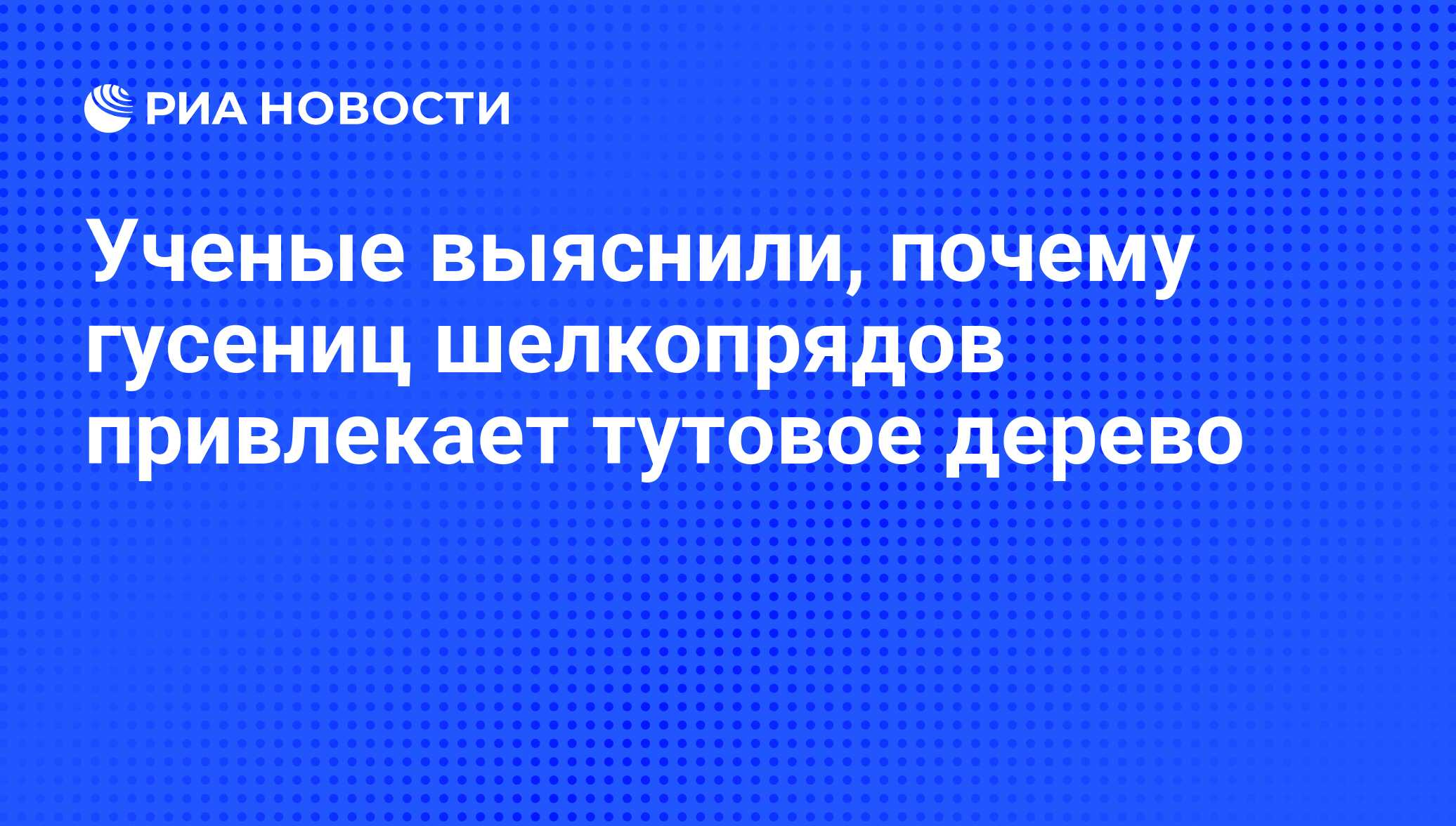 Ученые выяснили, почему гусениц шелкопрядов привлекает тутовое дерево - РИА  Новости, 08.05.2009