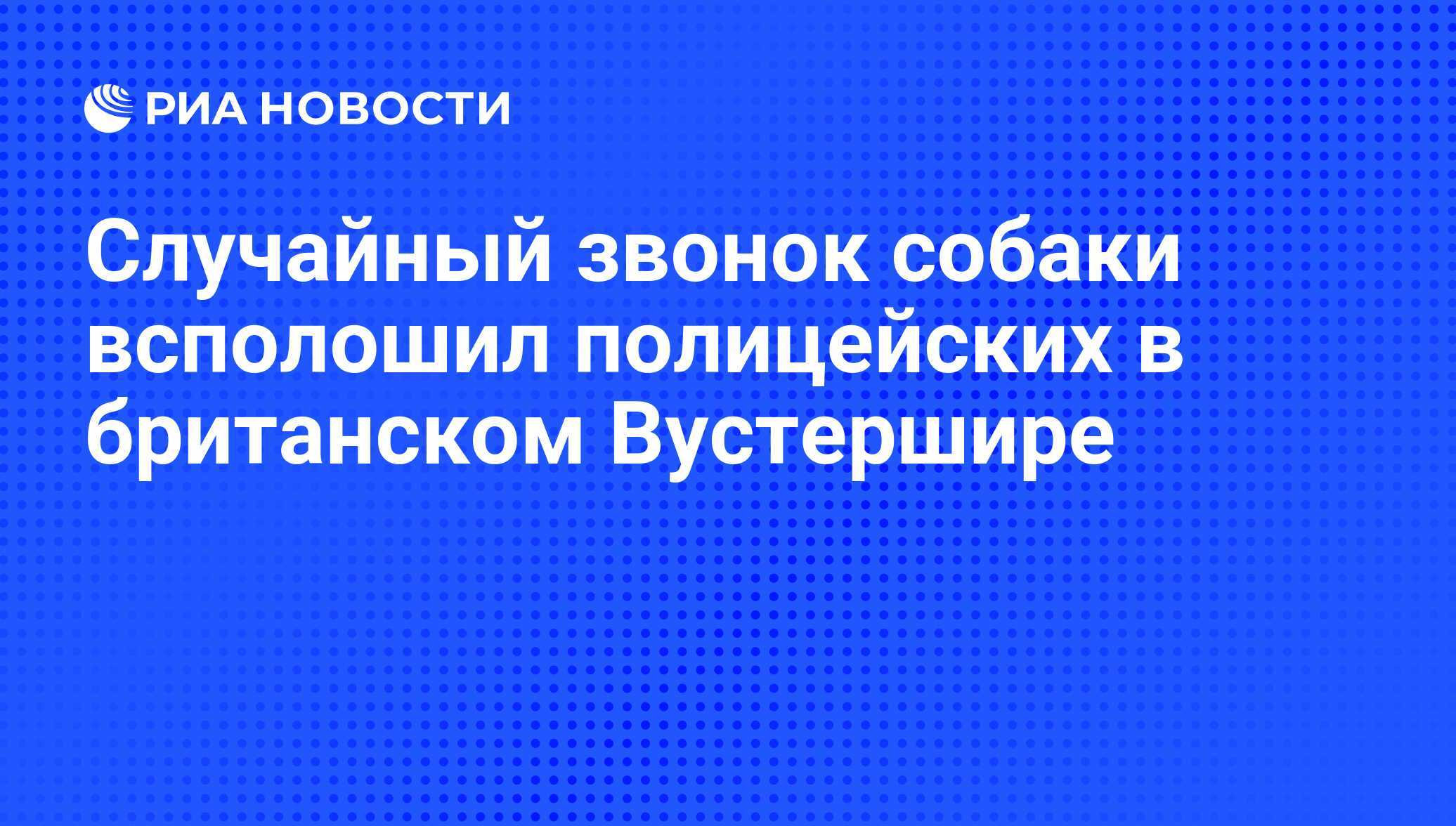 Случайный звонок собаки всполошил полицейских в британском Вустершире - РИА  Новости, 20.05.2009