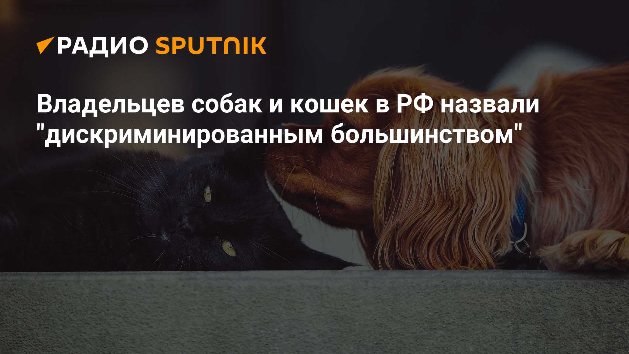 С собаками и украинцами вход воспрещен картинки