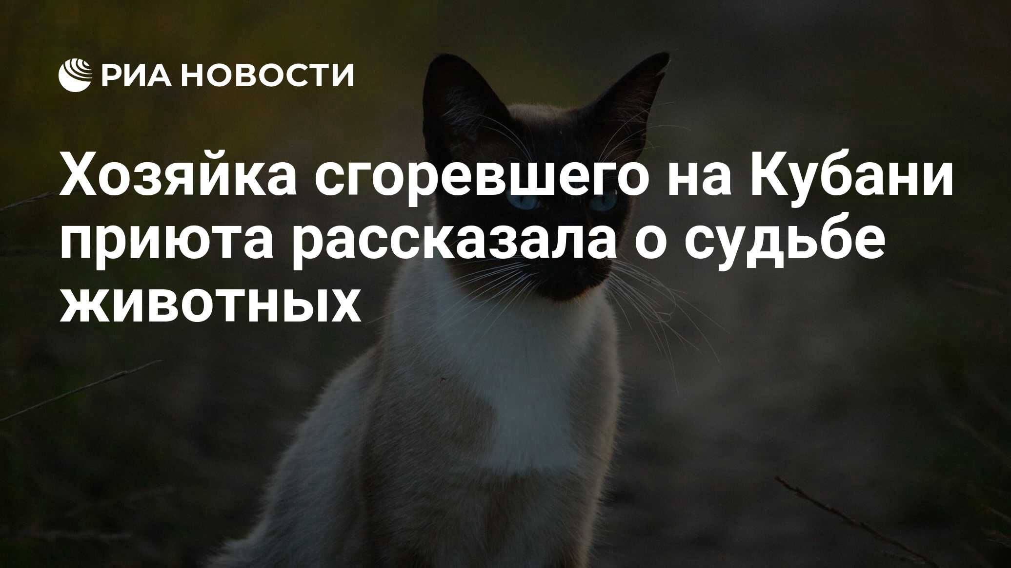 хозяйка горы (2020). хозяйка горы 2021. хозяйка горы 2021. пожар на мамина сибиряка 2014 год ревда. чебоксары пропала девушка 21 апреля.