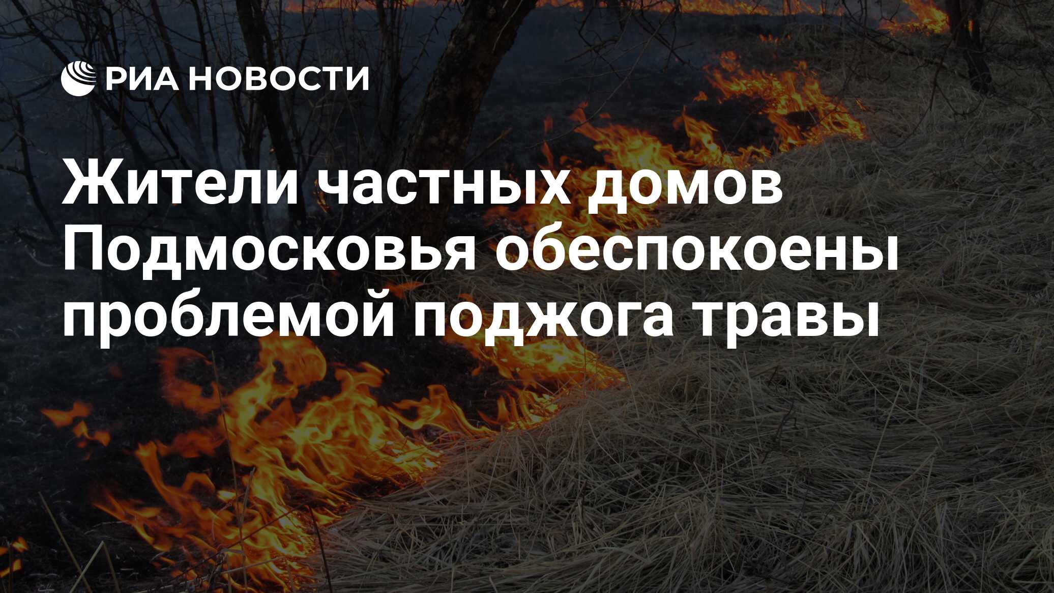 Жители частных домов Подмосковья обеспокоены проблемой поджога травы - РИА  Новости, 19.04.2021