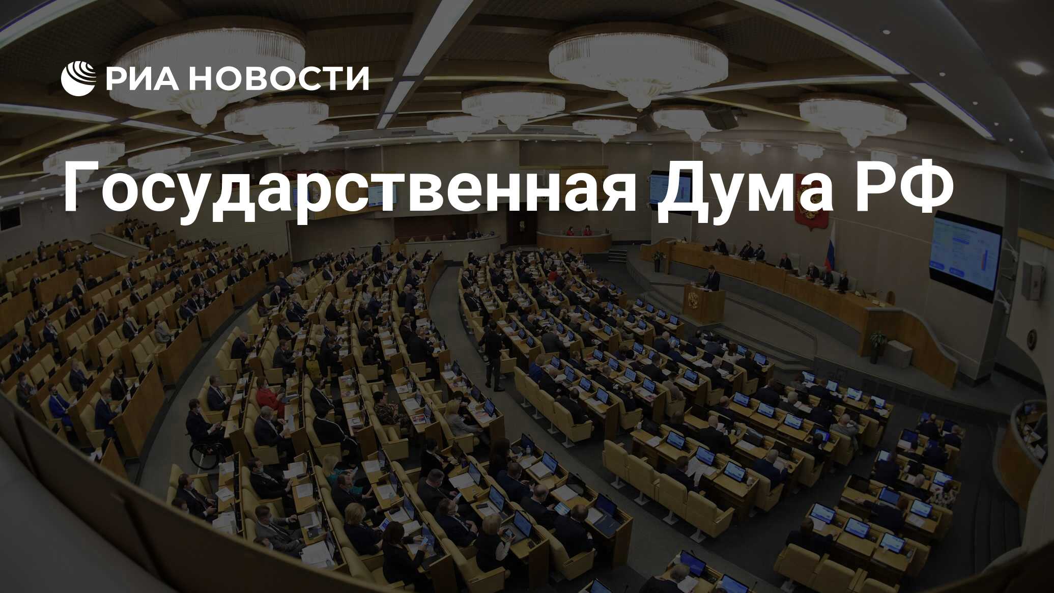 Государственная дума темы