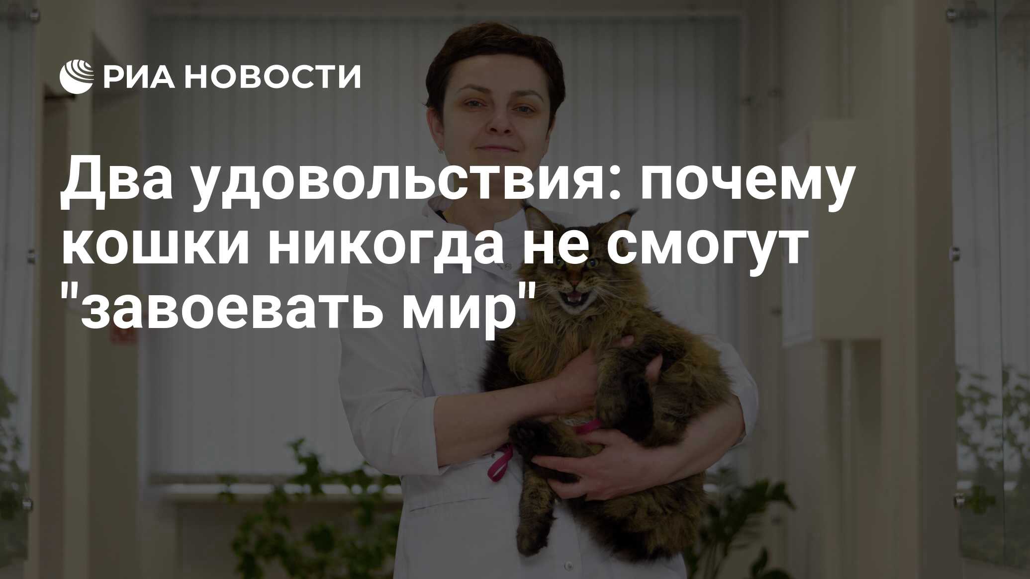 парень сверху. удовольствие почему о 1. мужчина и женщина в постели. удовольствие для мужчины. наслаждение женщины.