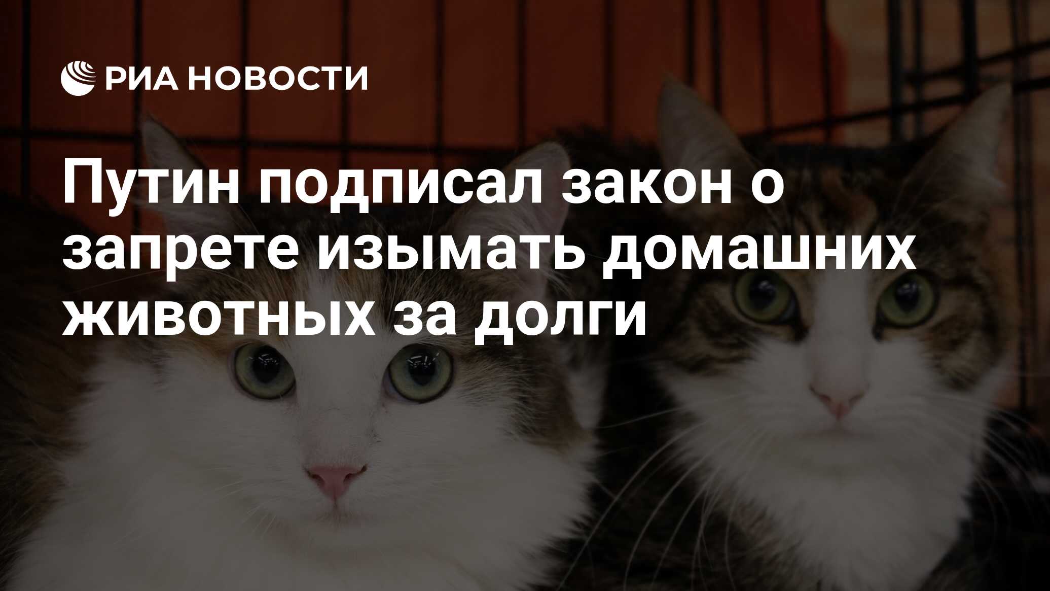 Путин подписал закон о запрете изымать домашних животных за долги - РИА  Новости, 30.08.2021