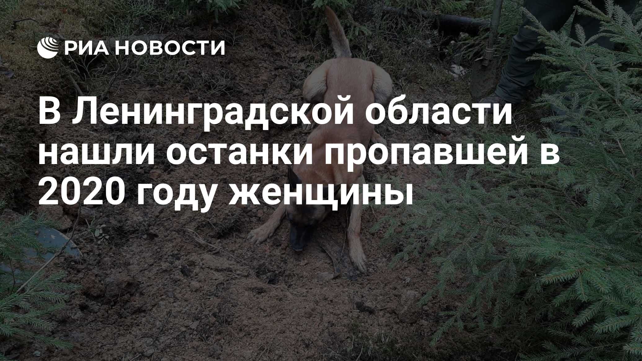 катя левченко дело сети. останки пропавших людей. останки в лесу карелии. останки пропавшей девочки. останки человеков на заброшках.