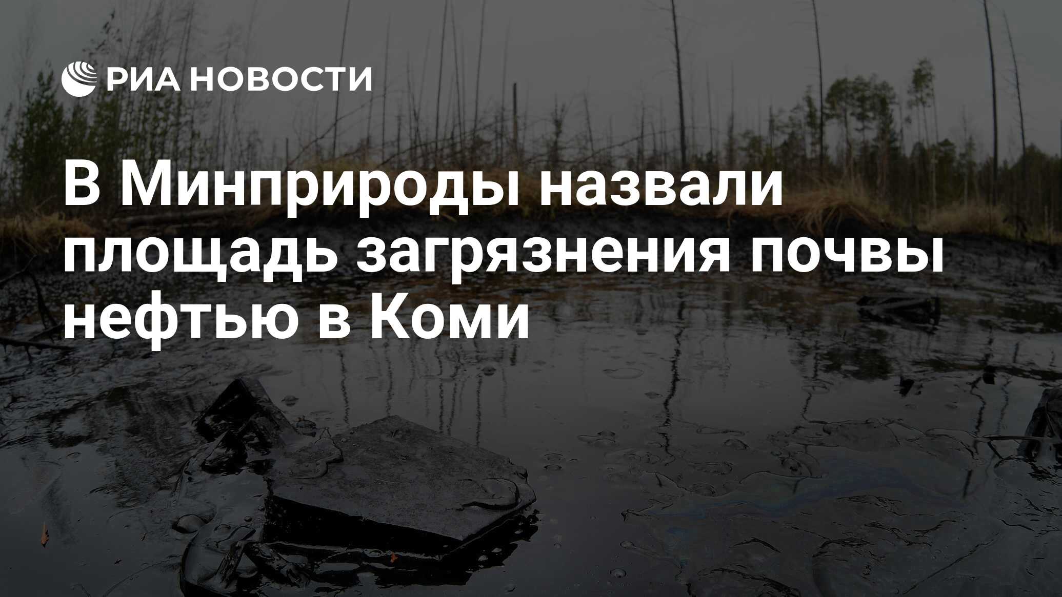 В Минприроды назвали площадь загрязнения почвы нефтью в Коми - РИА Новости,  14.05.2021