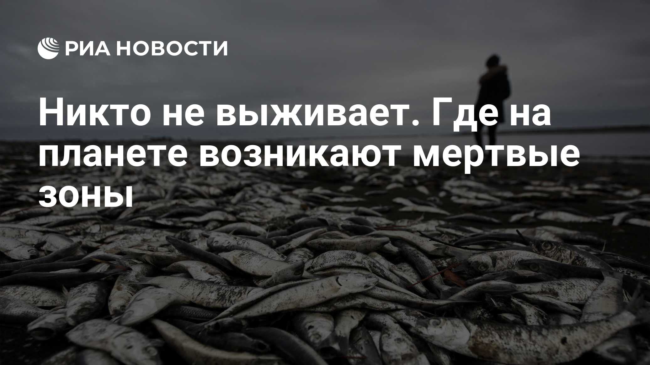 Никто не выживает. Где на планете возникают мертвые зоны - РИА Новости,  06.06.2021