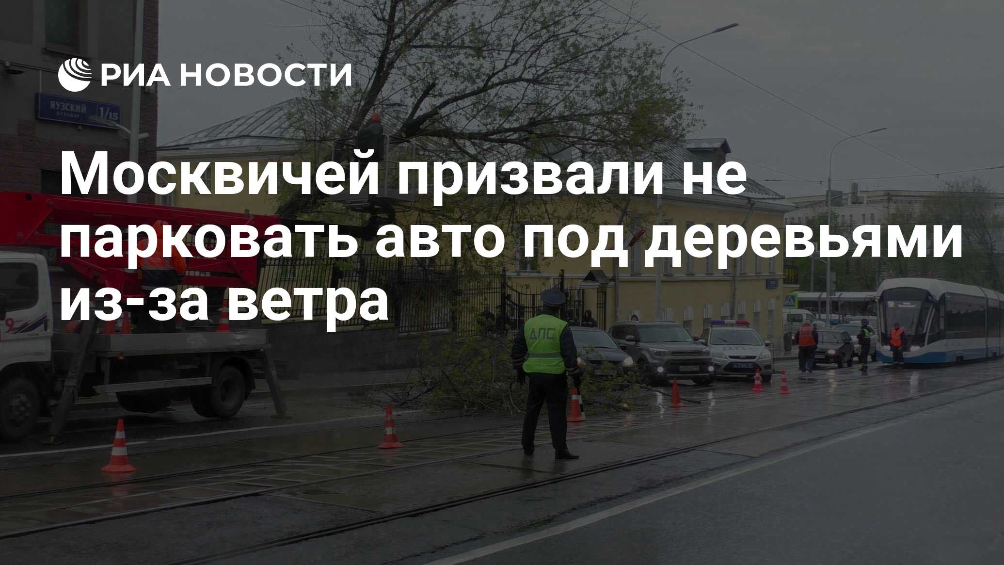 Москвичей призвали не парковать авто под деревьями из-за ветра - РИА  Новости, 12.06.2021