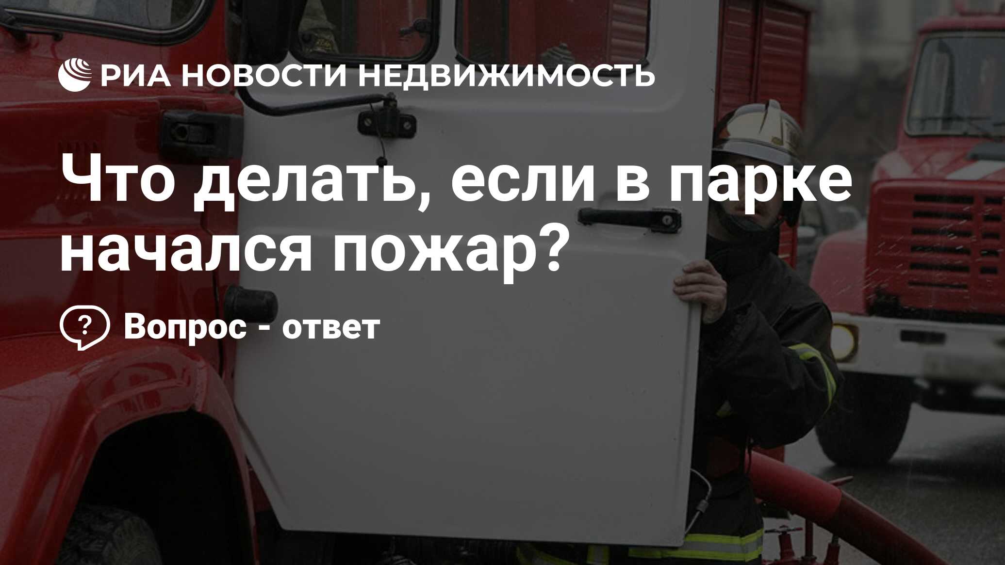 Что делать, если в парке начался пожар? - Недвижимость РИА Новости,  17.06.2021