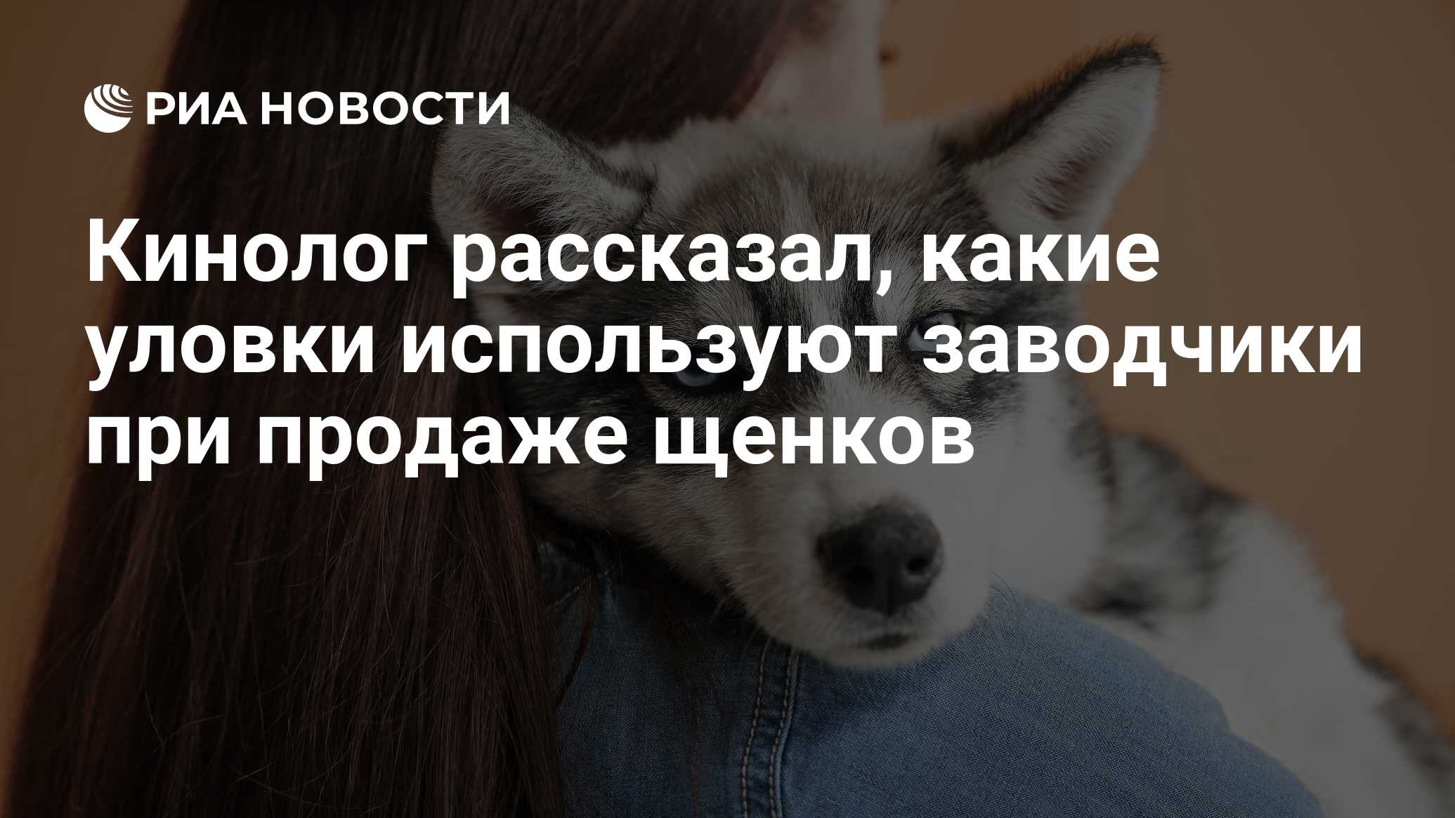 Кинолог рассказал, какие уловки используют заводчики при продаже щенков -  РИА Новости, 24.06.2021