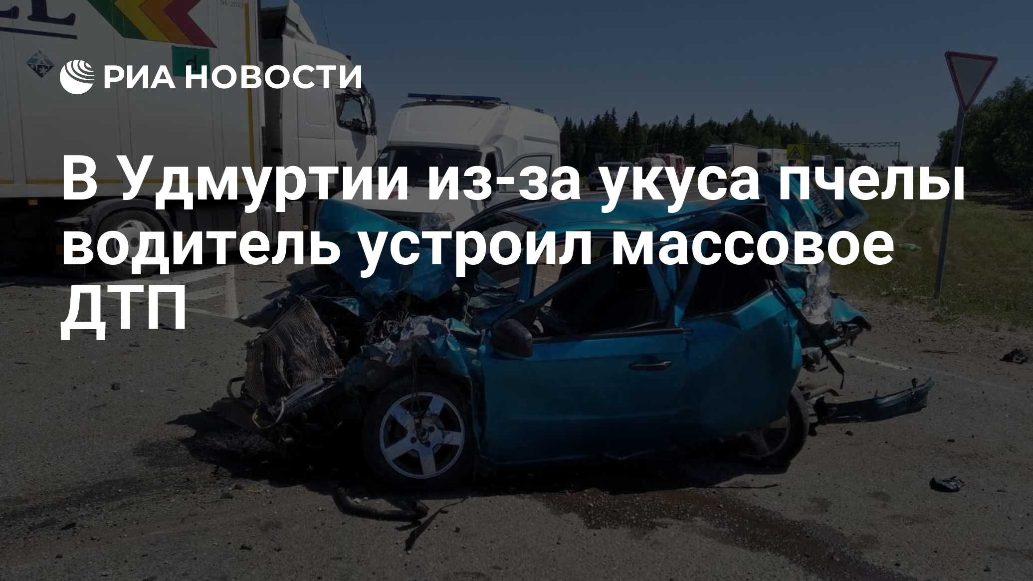 В Удмуртии из-за укуса пчелы водитель устроил массовое ДТП - РИА Новости,  12.07.2021