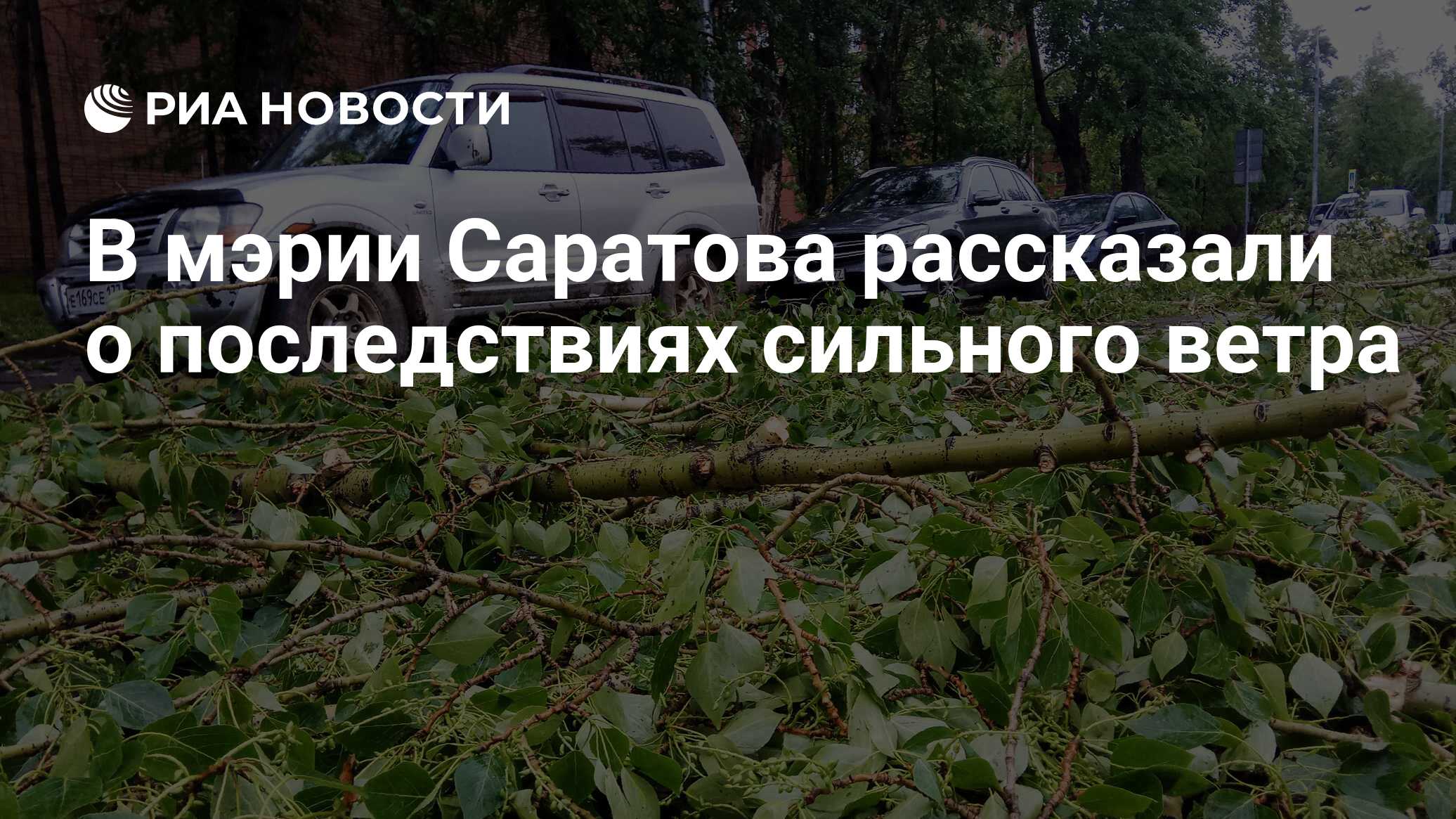 В мэрии Саратова рассказали о последствиях сильного ветра - РИА Новости,  16.07.2021