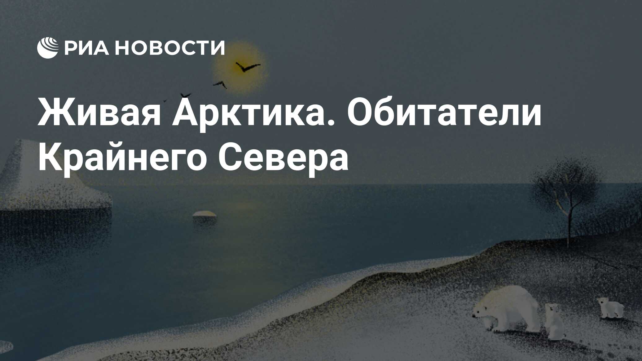 Живая природа Арктики и Крайнего Севера