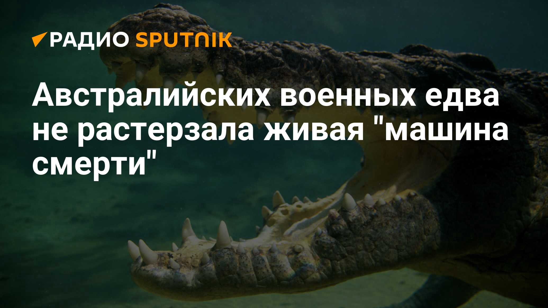 В Австралии военных едва не съел крокодил