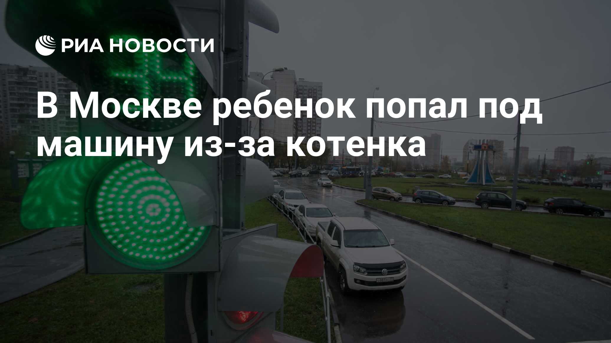 В Москве ребенок попал под машину из-за котенка - РИА Новости, 08.08.2021