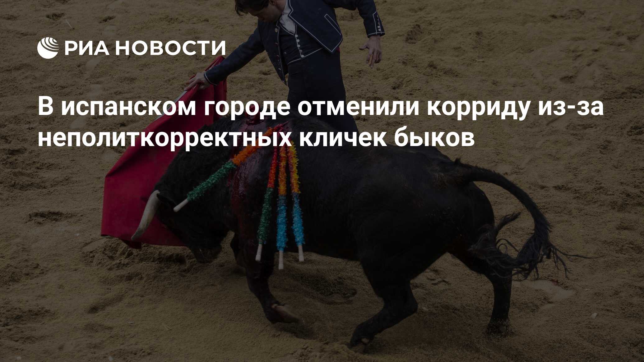 В испанском городе отменили корриду из-за неполиткорректных кличек быков -  РИА Новости, 18.08.2021