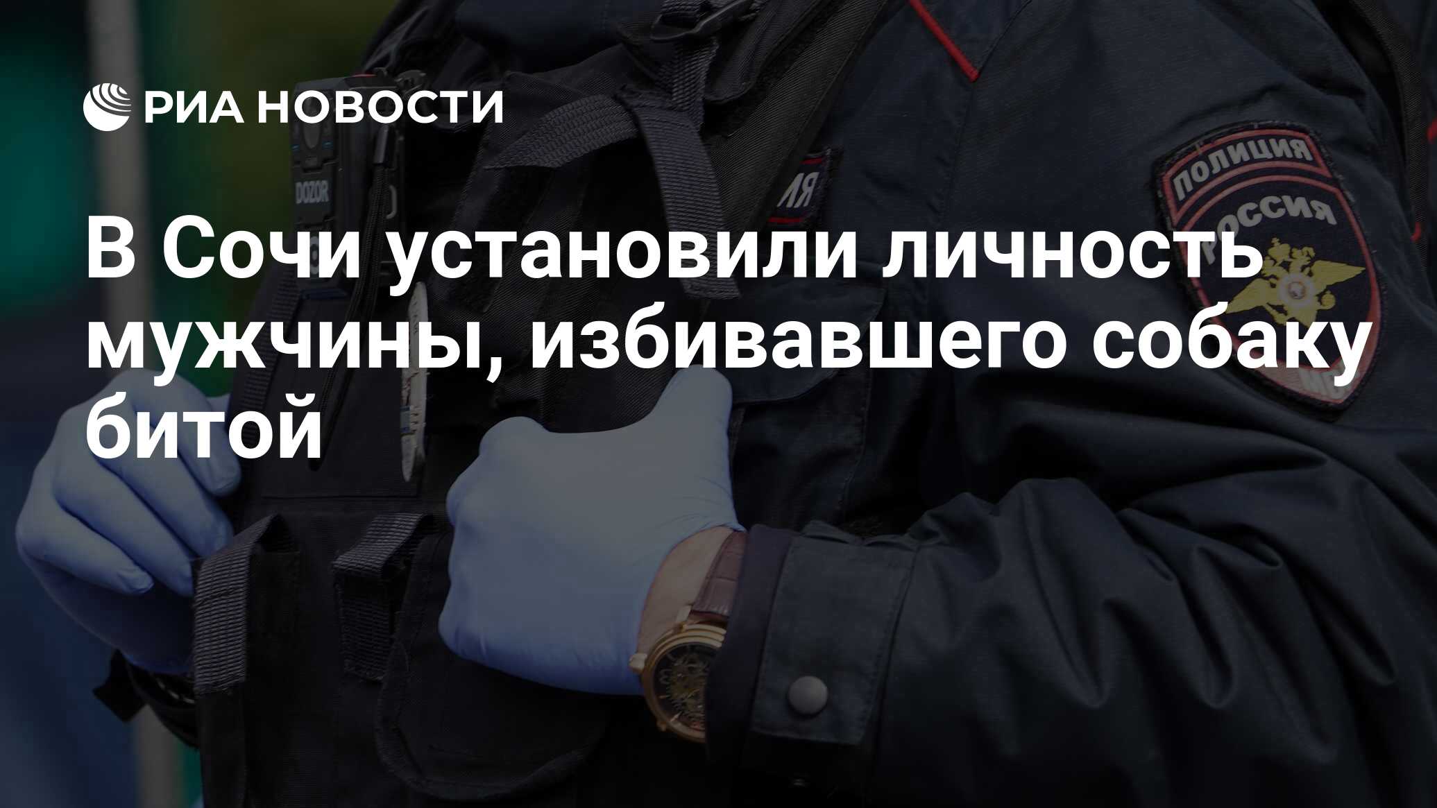 В Сочи установили личность мужчины, избивавшего собаку битой - РИА Новости,  23.08.2021