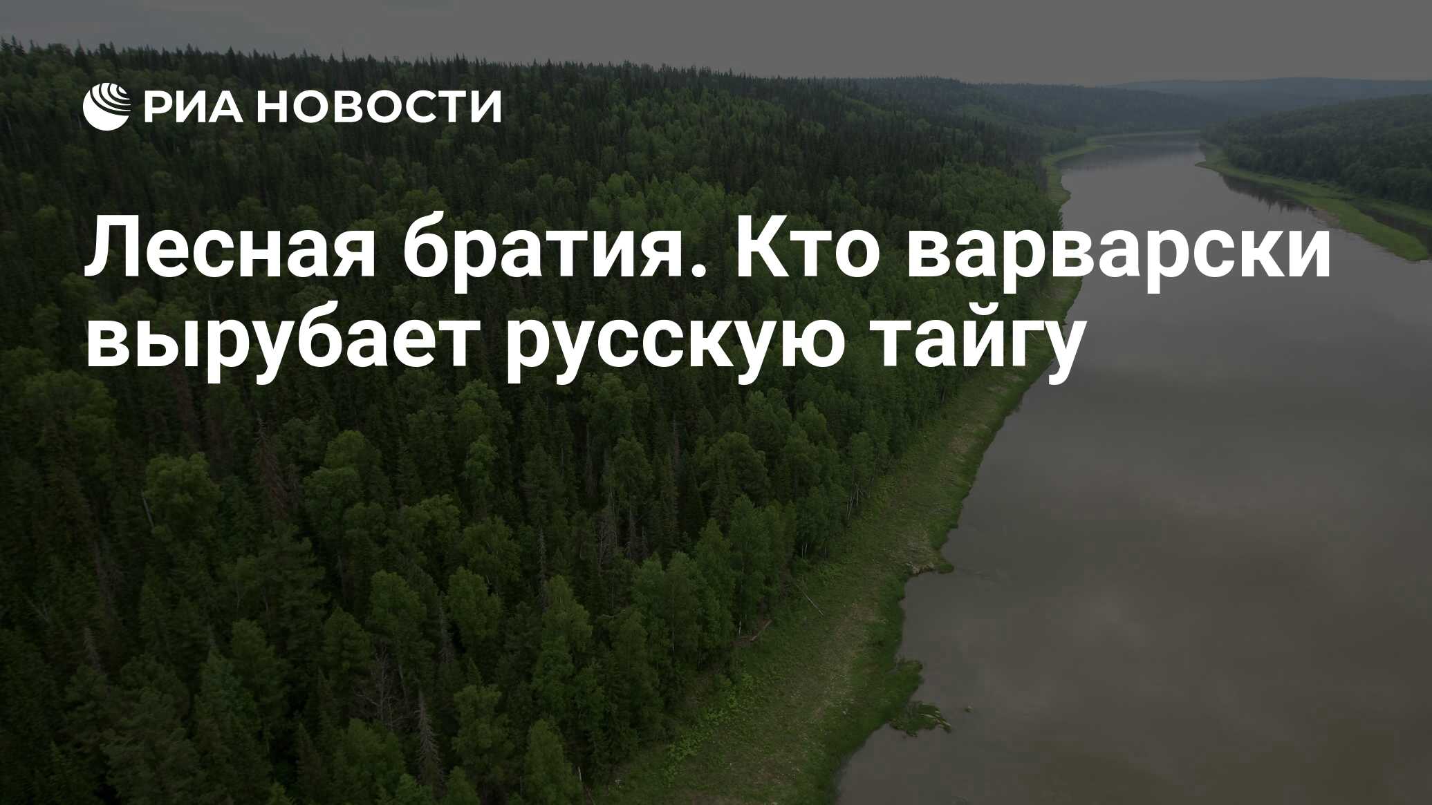 Лесная братия. Кто варварски вырубает русскую тайгу - РИА Новости,  26.08.2021