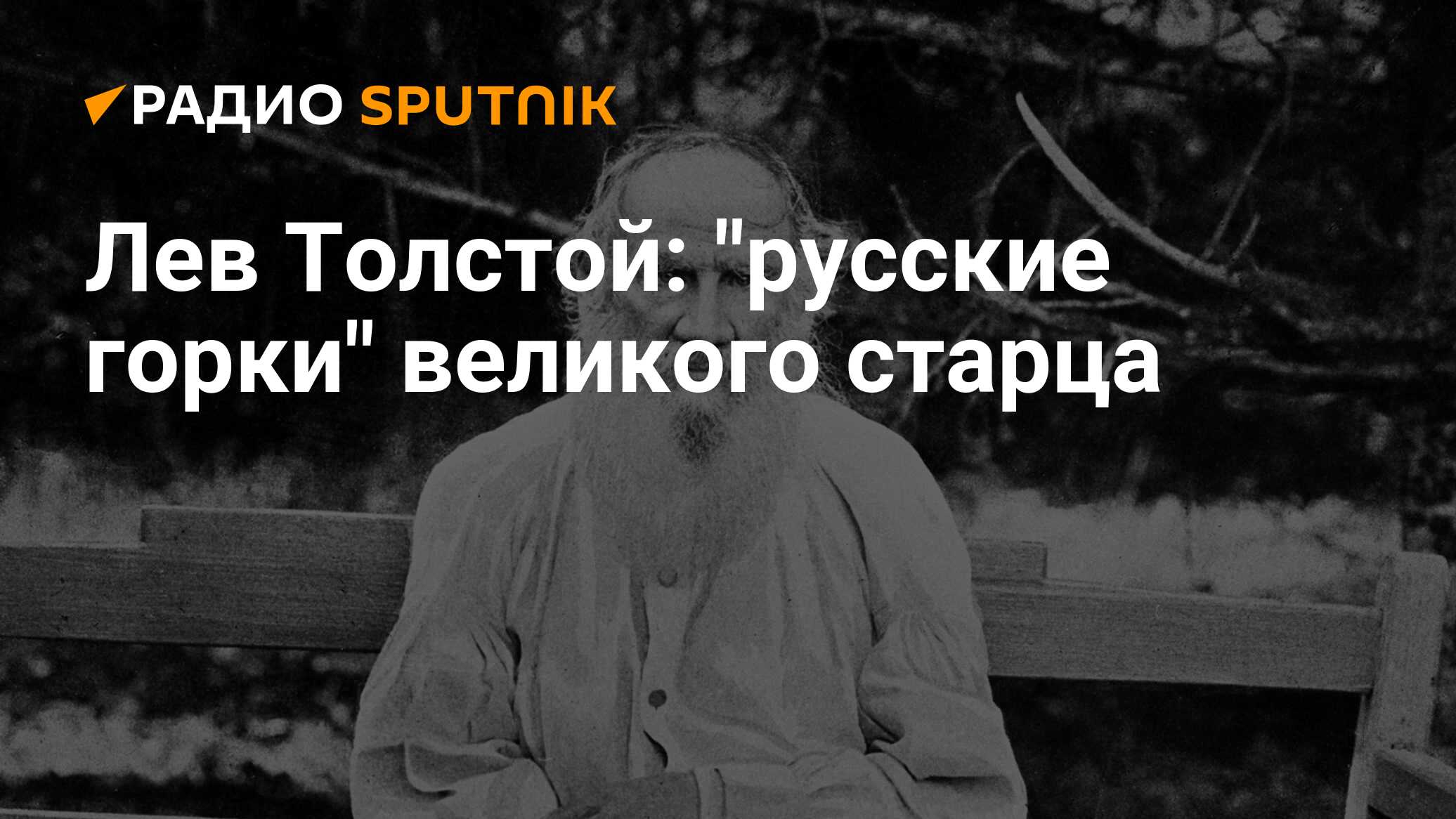 Лев Николаевич Толстой: краткая биография, годы жизни и творчество