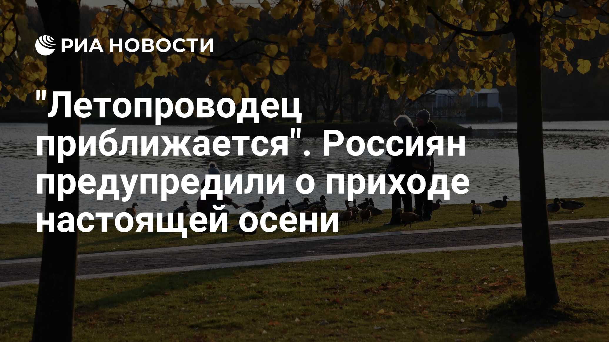 Приход настоящий. Осень предупреждала о своём приходе то. Осень предупреждала о своём приходе невзначай забытыми.