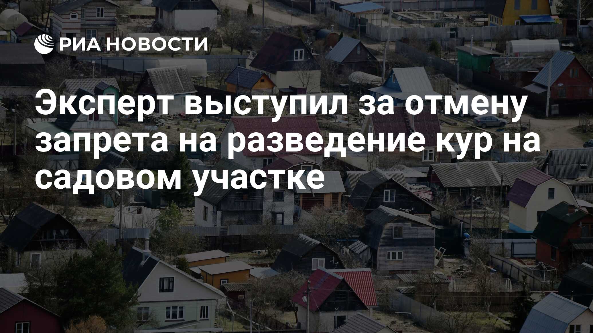 Эксперт выступил за отмену запрета на разведение кур на садовом участке -  РИА Новости, 21.09.2021