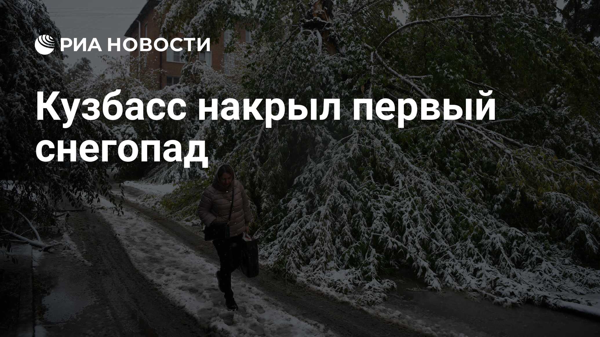 Ранний снегопад повалил деревья.