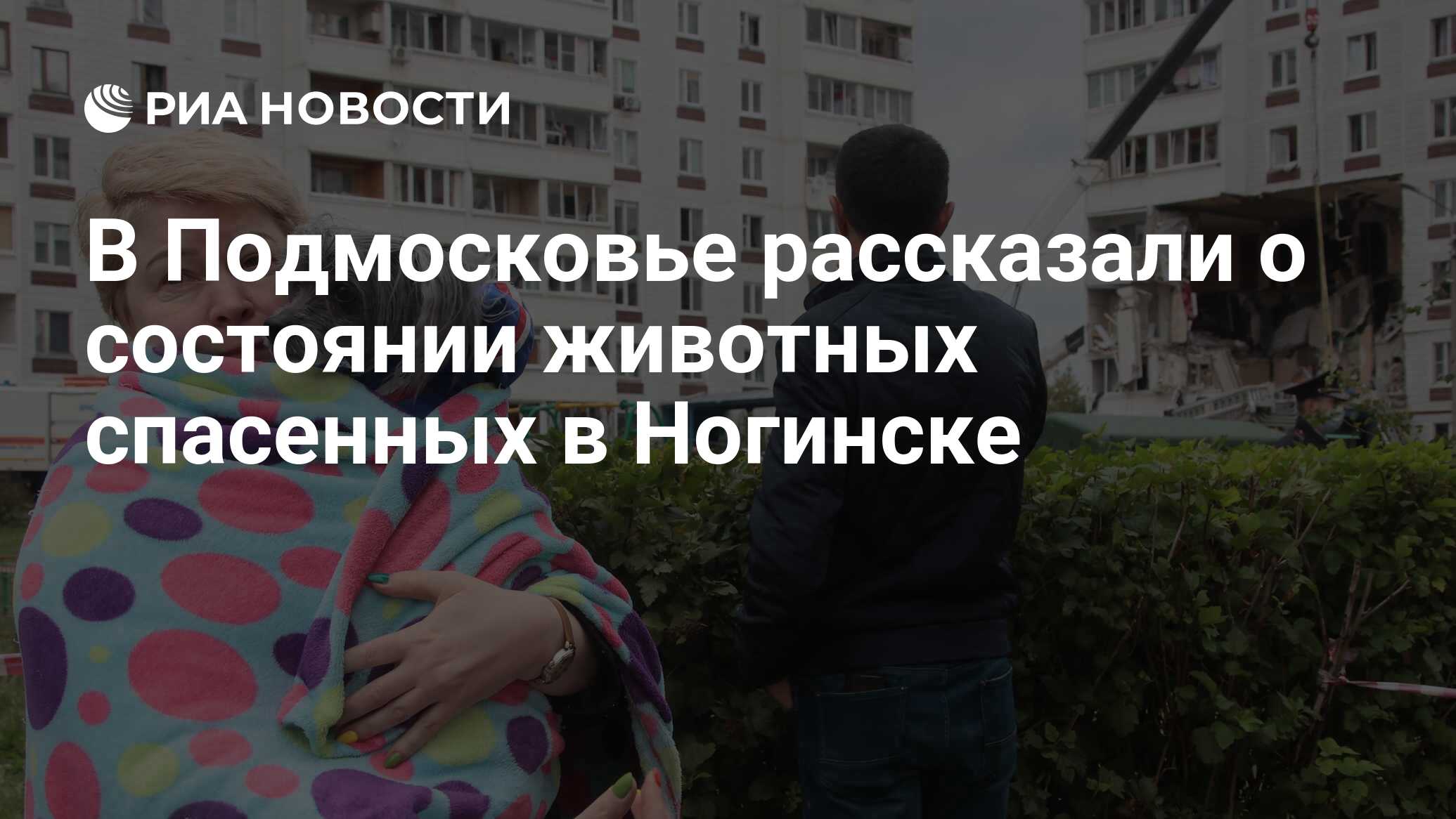 В Подмосковье рассказали о состоянии животных спасенных в Ногинске - РИА  Новости, 27.09.2021