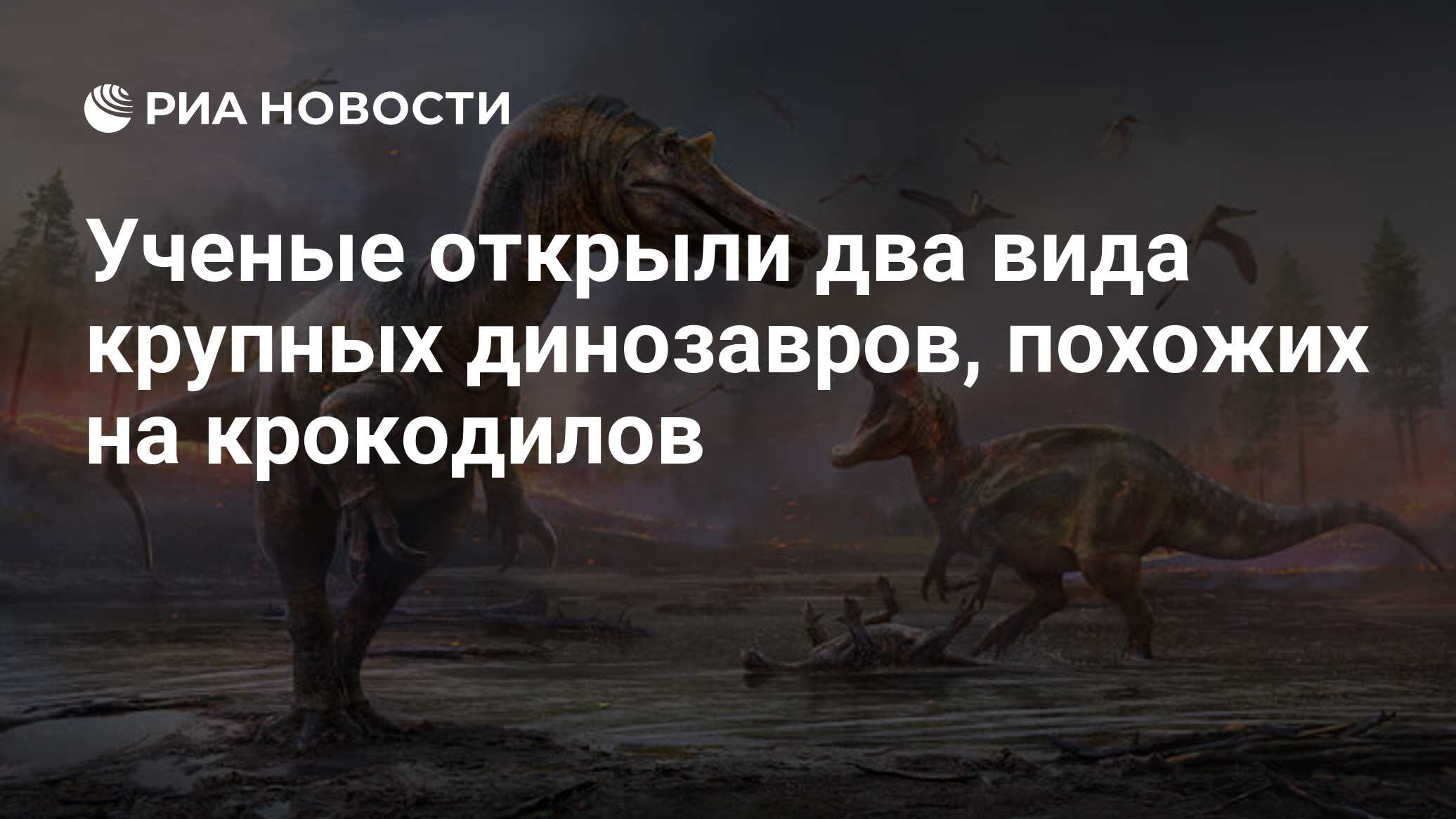 Ученые открыли два вида крупных динозавров, похожих на крокодилов - РИА  Новости, 29.09.2021