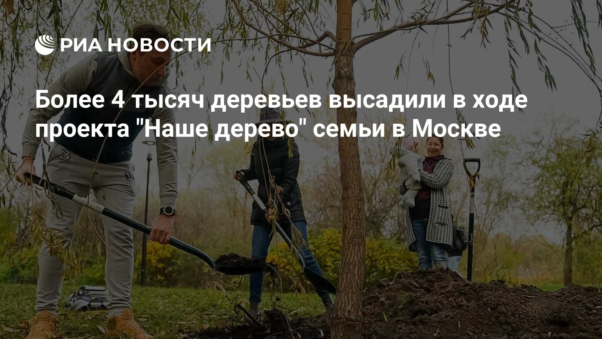 Проект наше дерево в москве