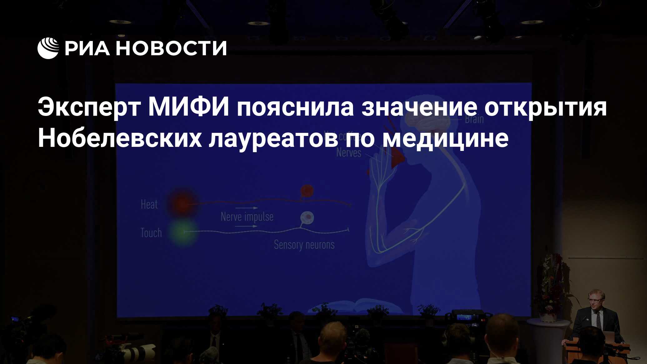 Эксперт МИФИ пояснила значение открытия Нобелевских лауреатов по медицине