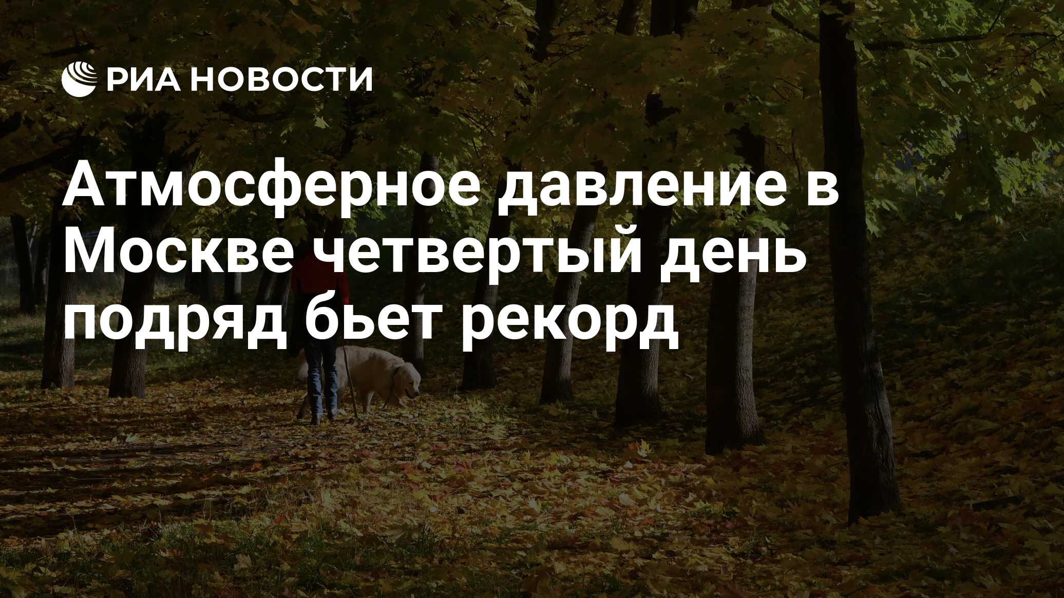 Бить всех подряд. Бить всех подряд