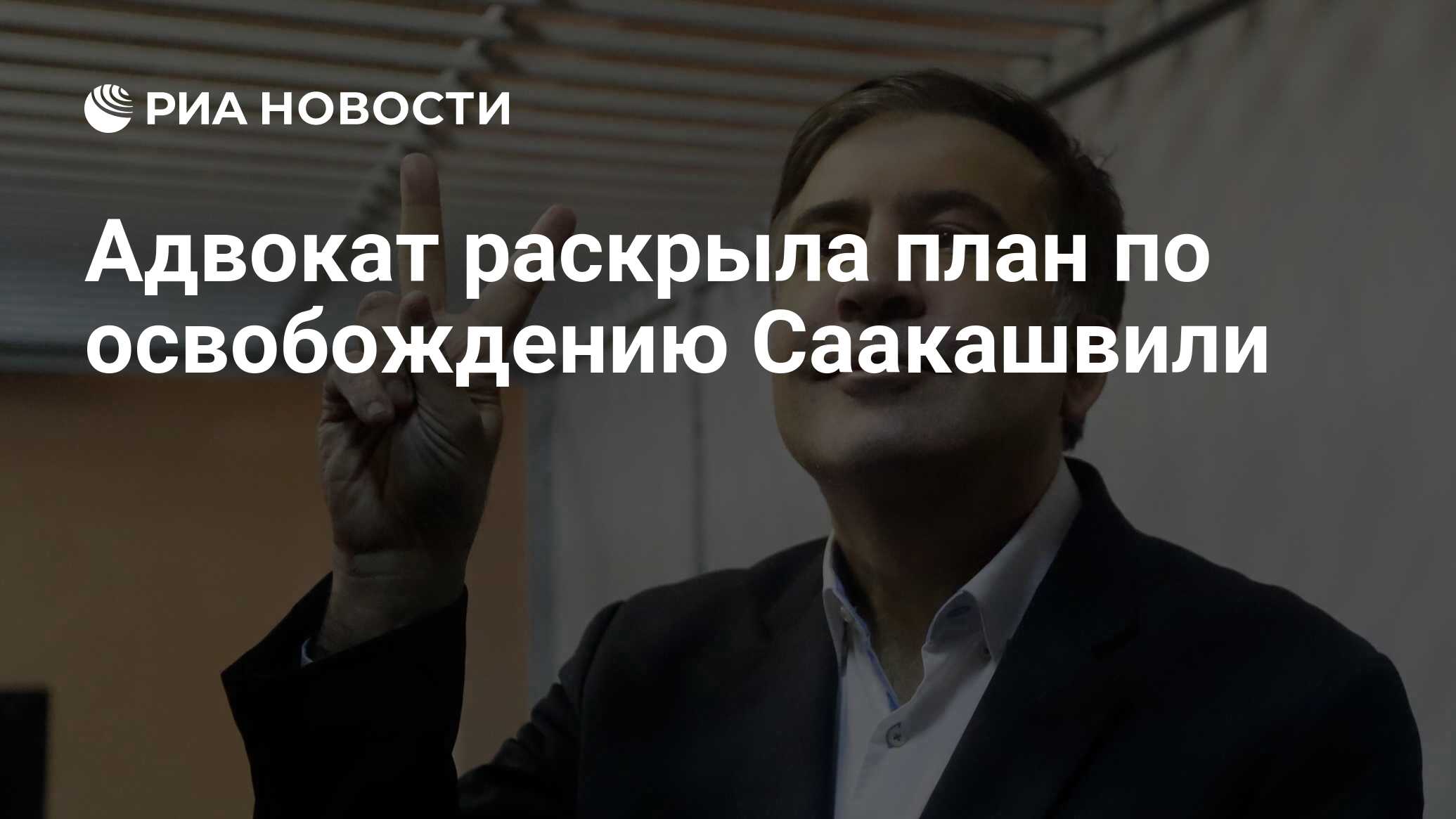 Адвокат раскрыла план по освобождению Саакашвили