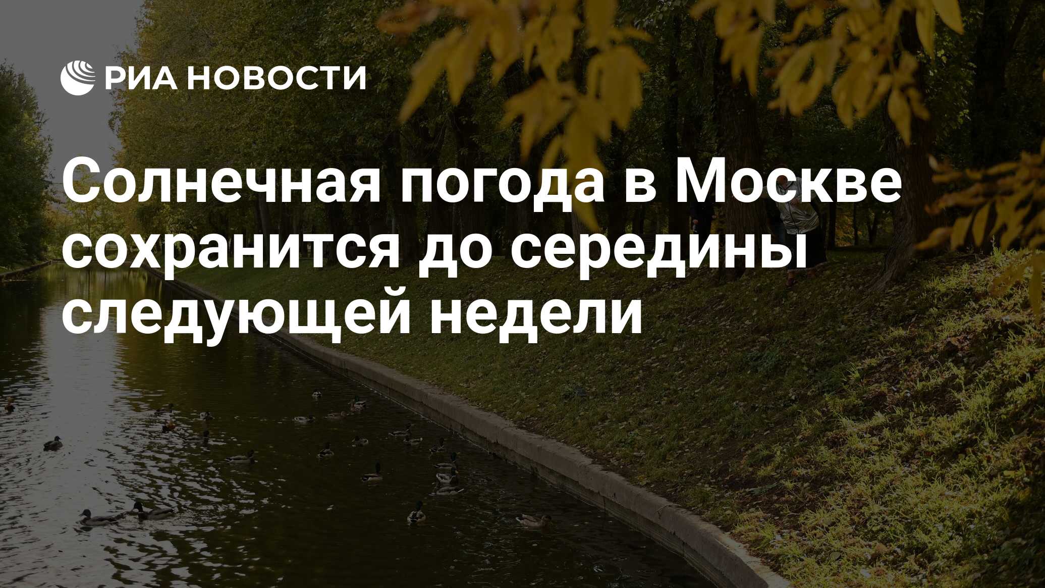 Какое ожидается лето 24 года. Москвичам пообещали потепление на следующей неделе.