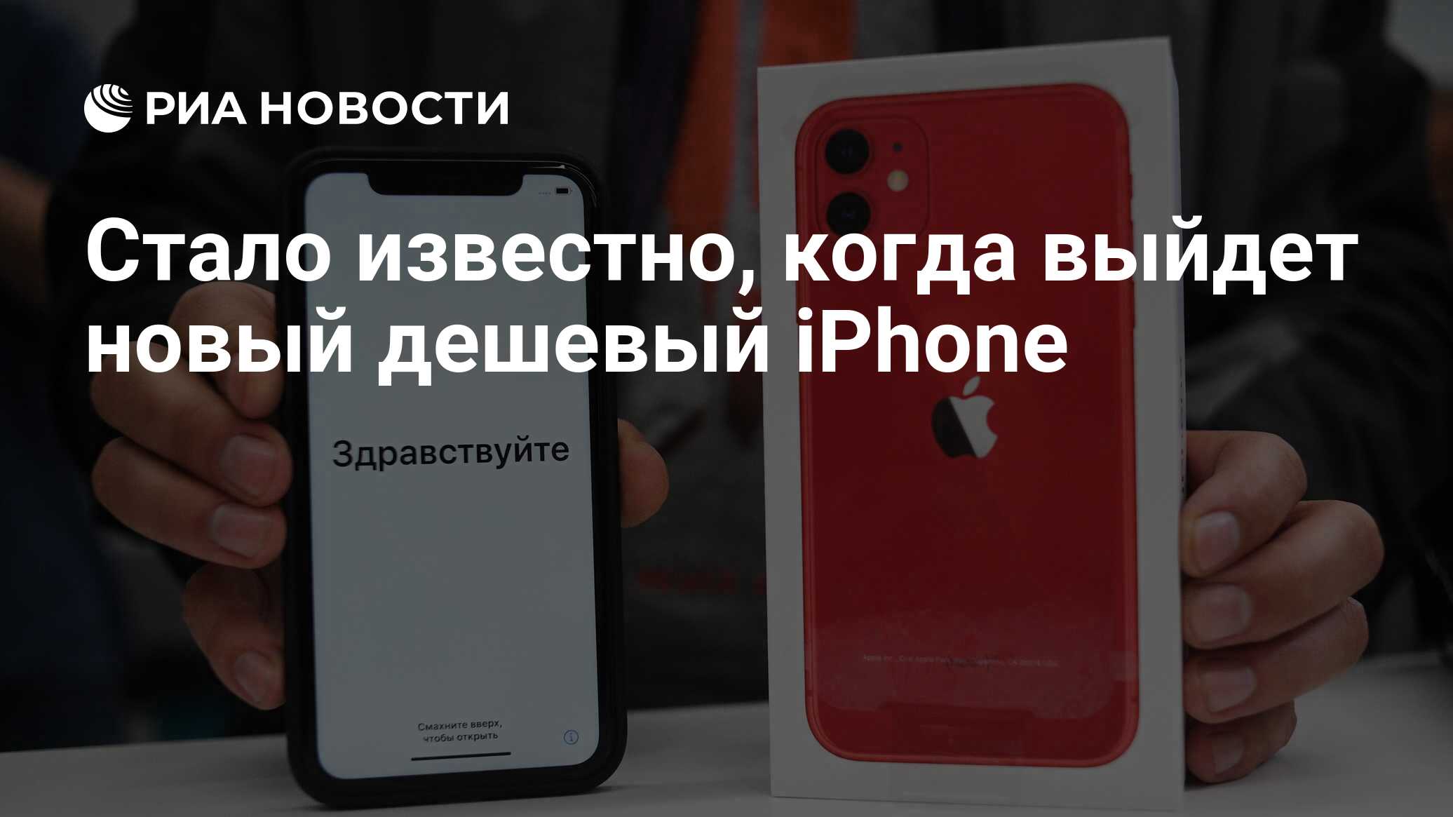 Стало известно, когда выйдет новый дешевый iPhone - РИА Новости, 11.10.2021