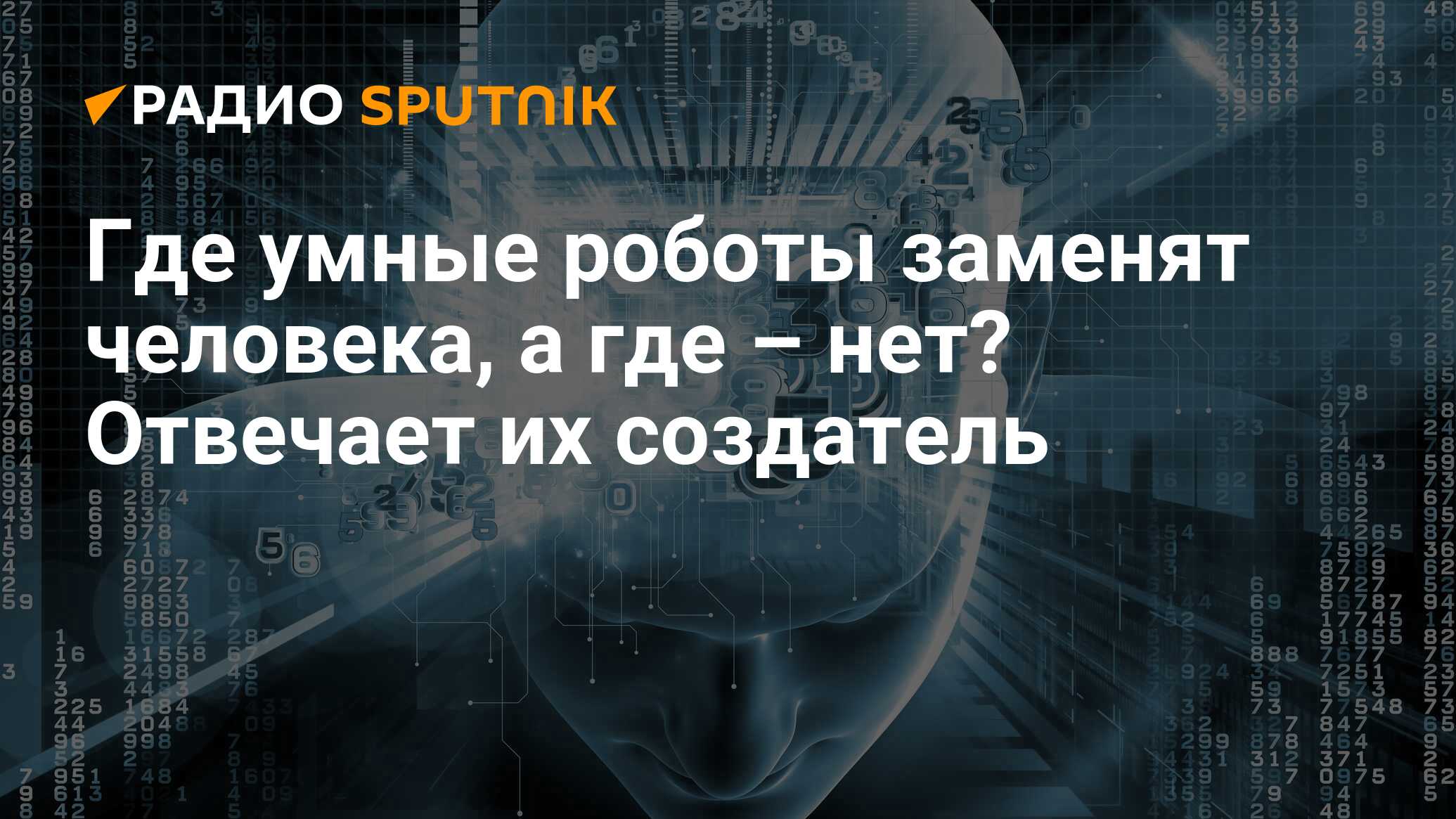 Где умные роботы заменят человека, а где – нет? Отвечает их создатель