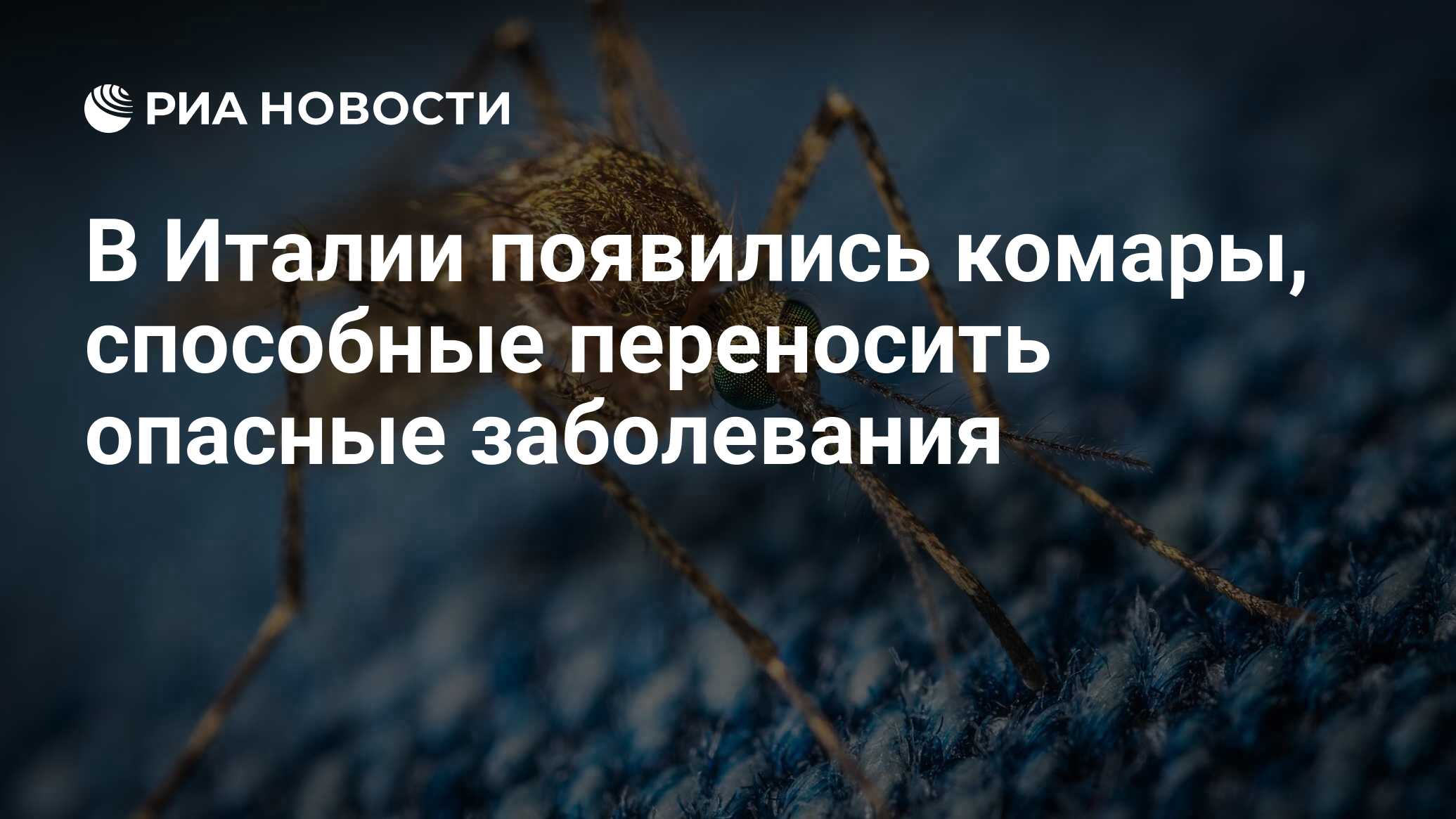 В Италии появились комары, способные переносить опасные заболевания - РИА  Новости, 20.10.2021