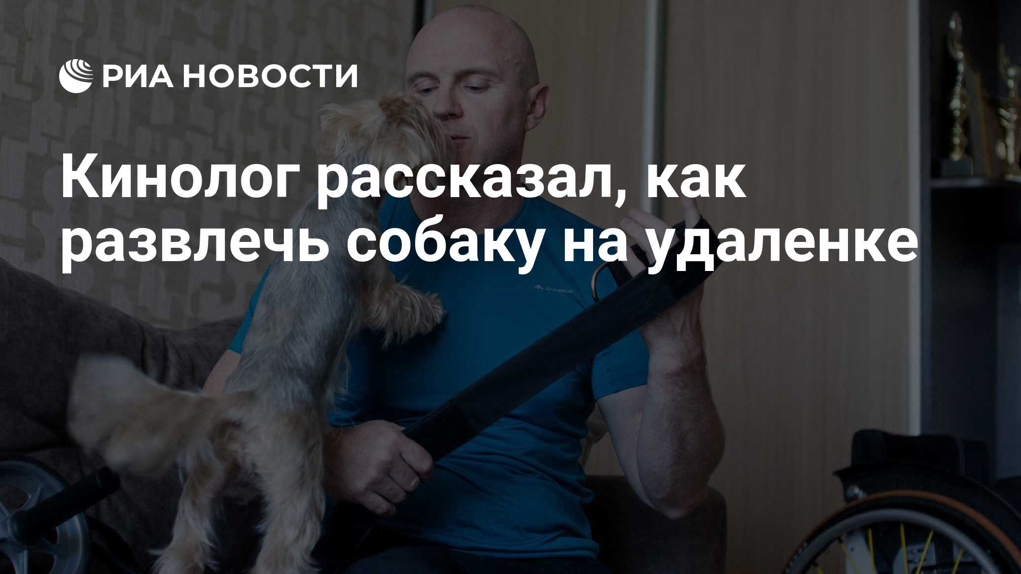 Кинолог рассказал, как развлечь собаку на удаленке - РИА Новости, 23.10.2021