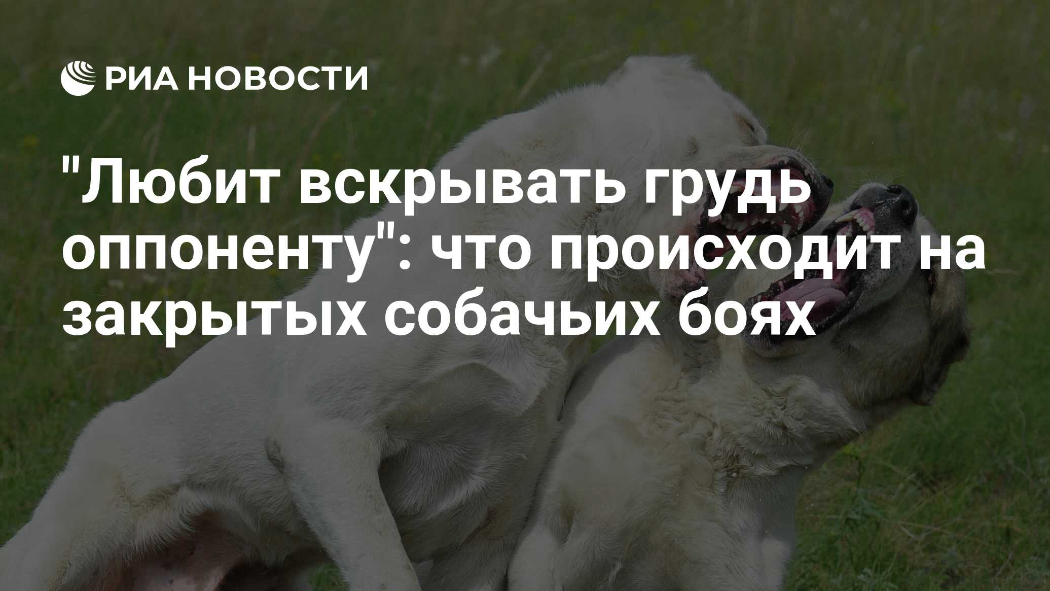 Любит вскрывать грудь оппоненту