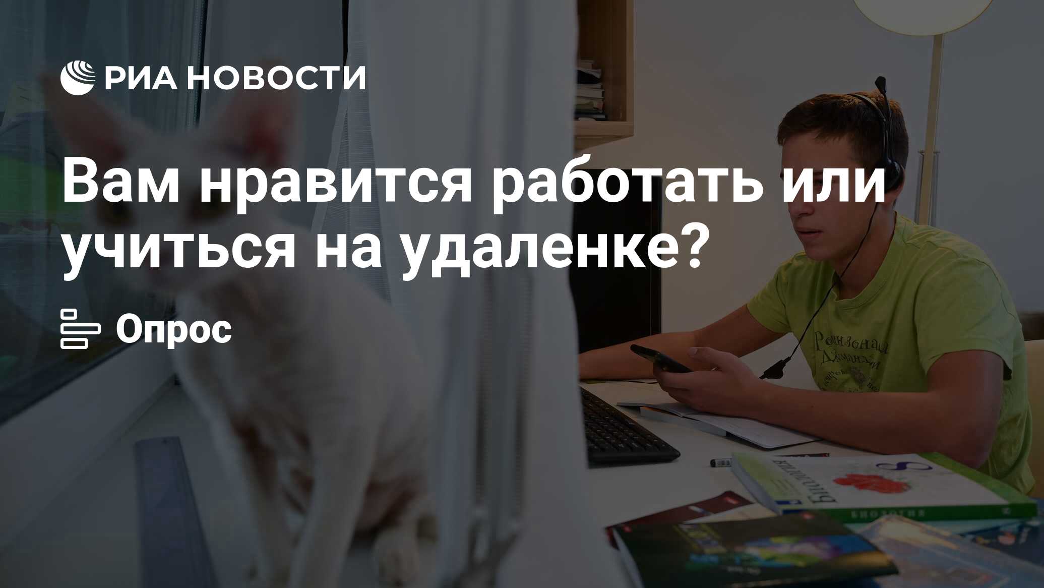 Вам нравится работать или учиться на удаленке? - РИА Новости, 03.11.2021