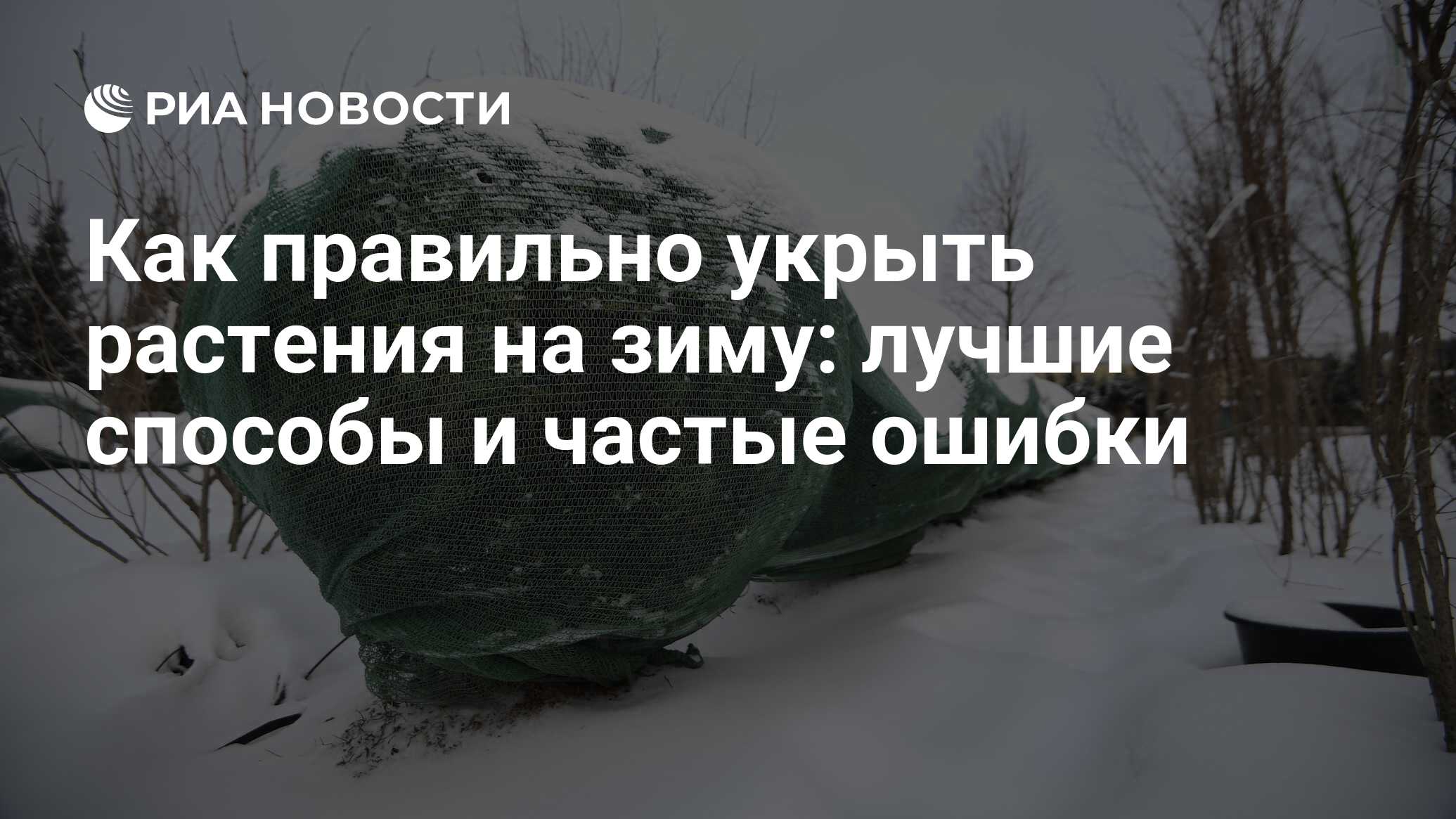 Как правильно укрыть растения на зиму: лучшие способы и частые ошибки