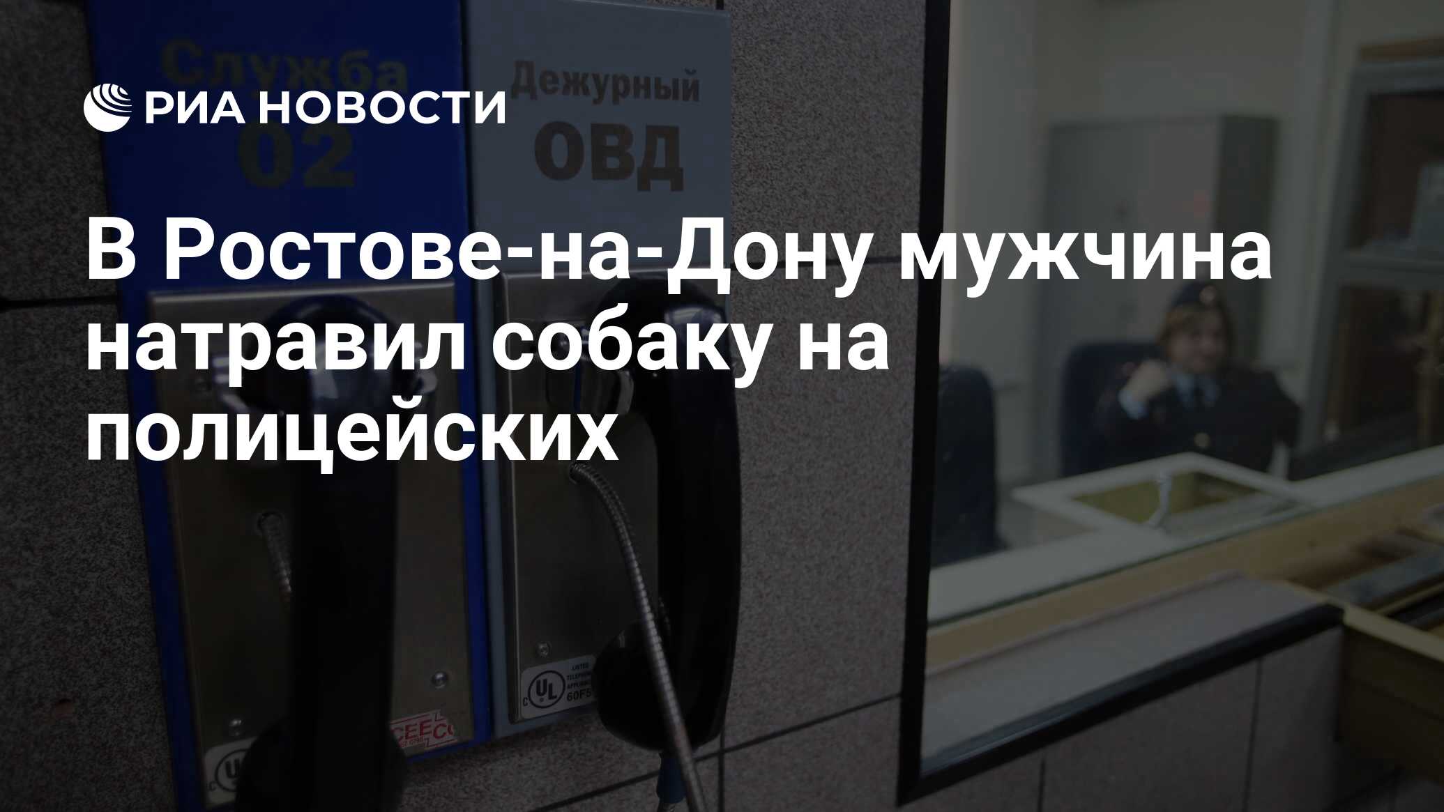 В Ростове-на-Дону мужчина натравил собаку на полицейских - РИА Новости,  27.11.2021